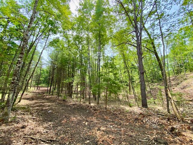 main property photo 26