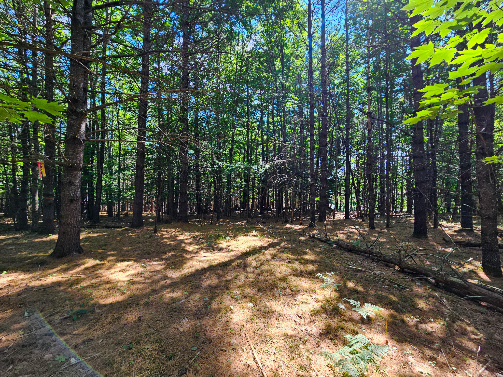 main property photo 11