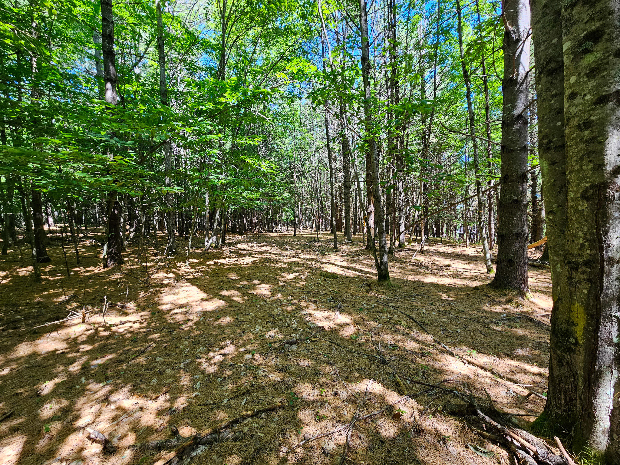 main property photo 12