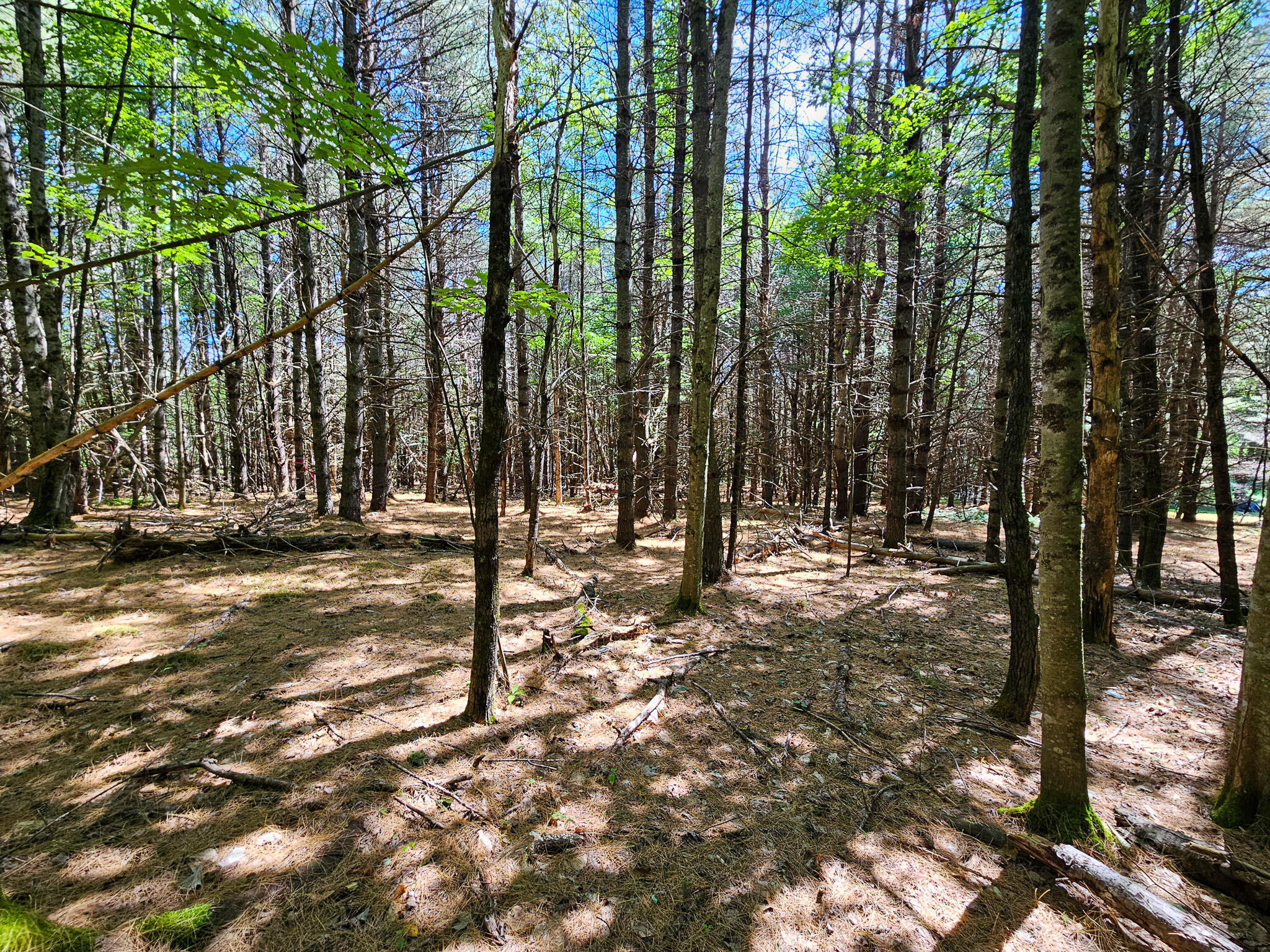 main property photo 13
