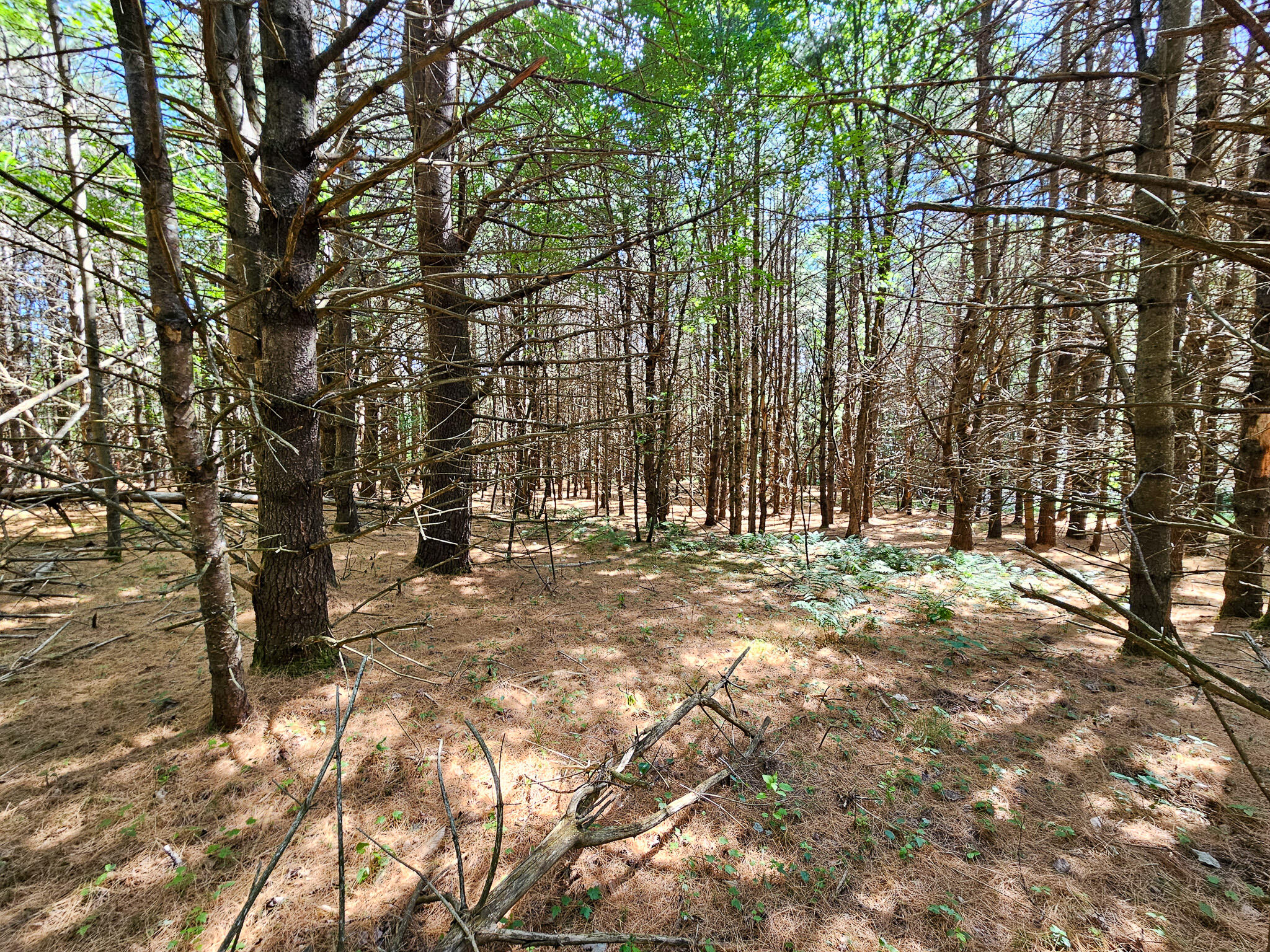 main property photo 14