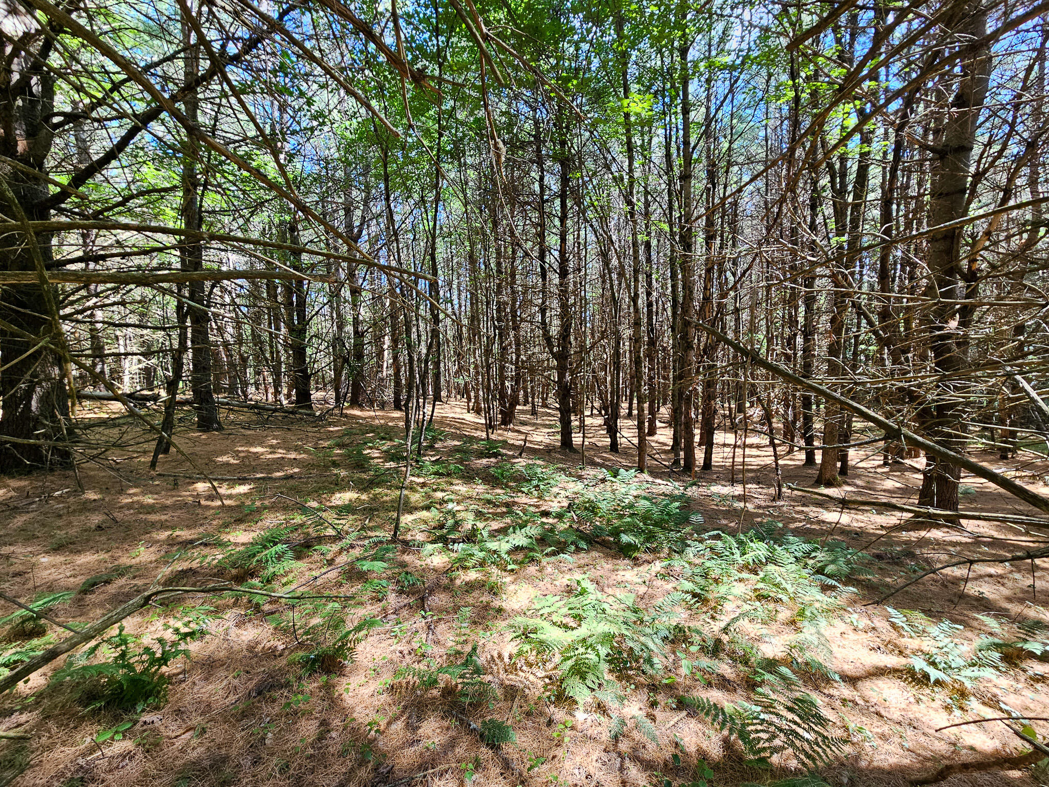 main property photo 15