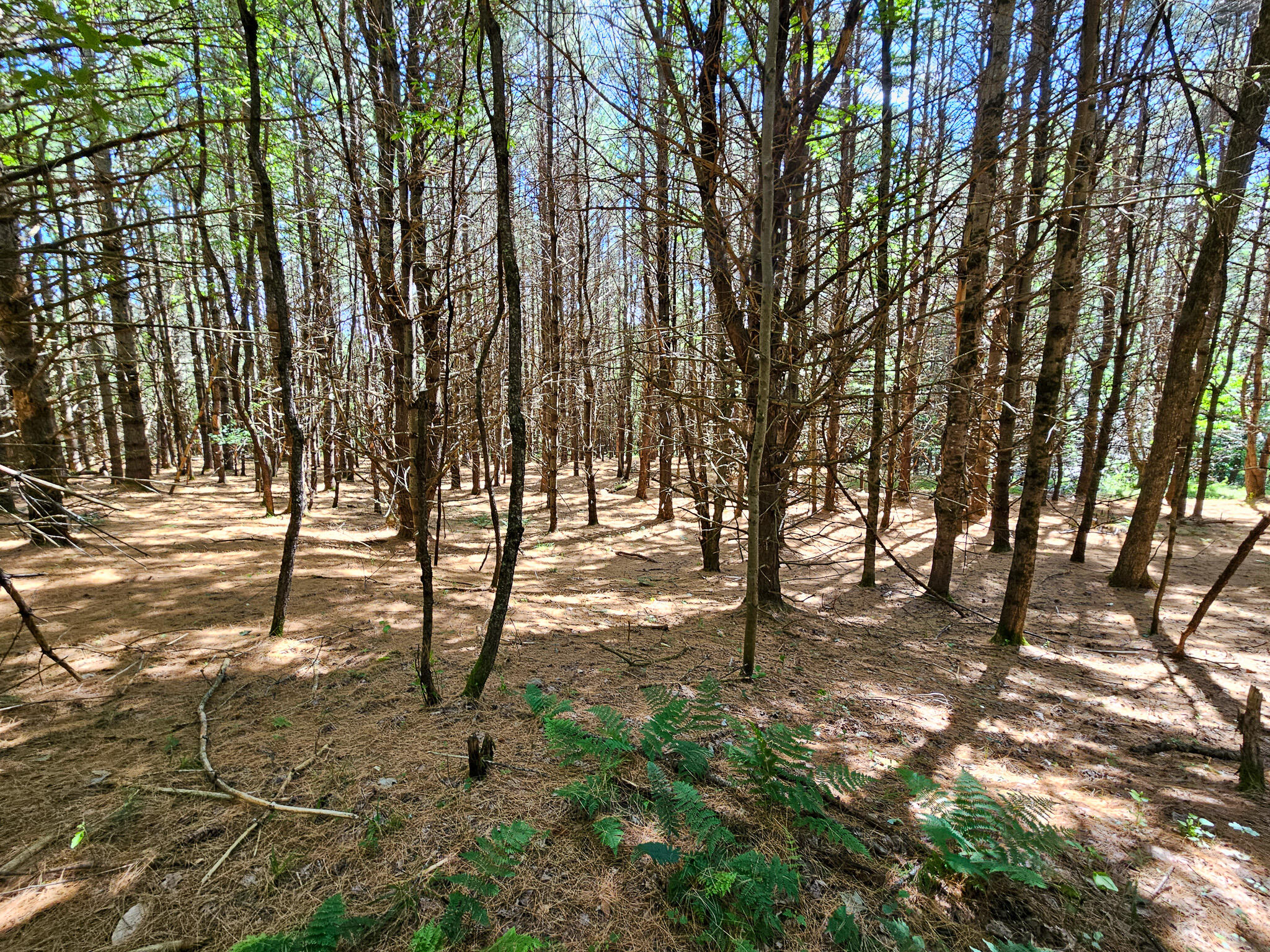 main property photo 16