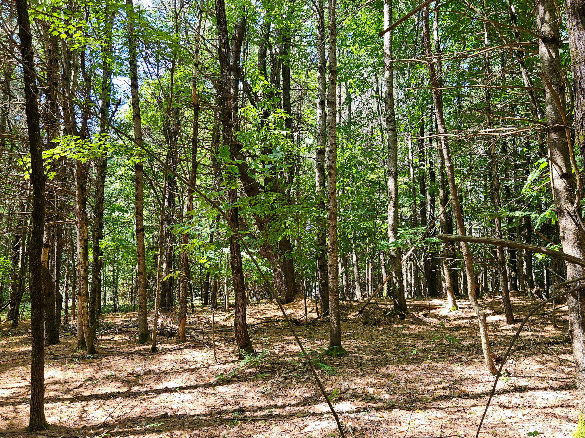 main property photo 17