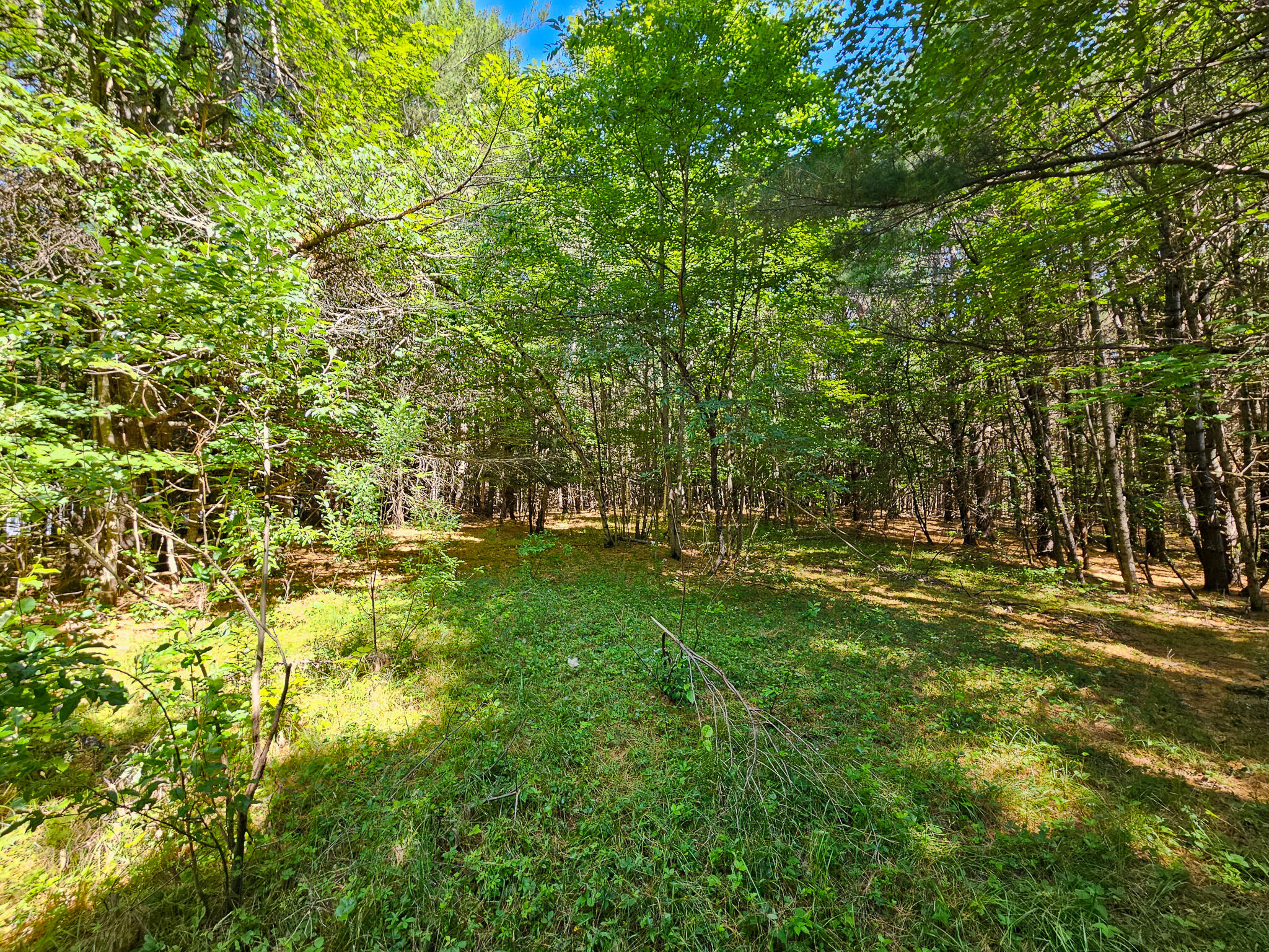 main property photo 4