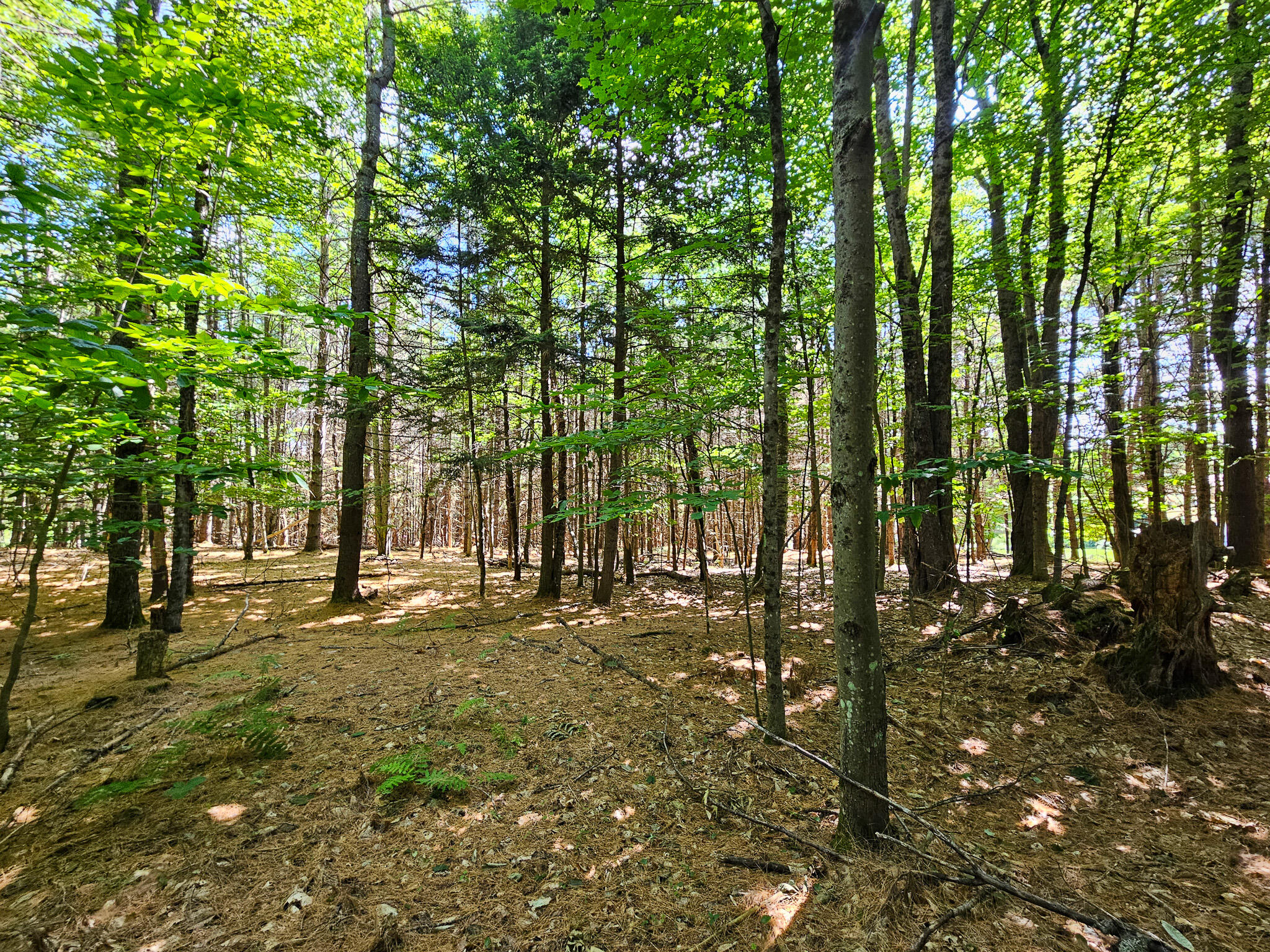 main property photo 6