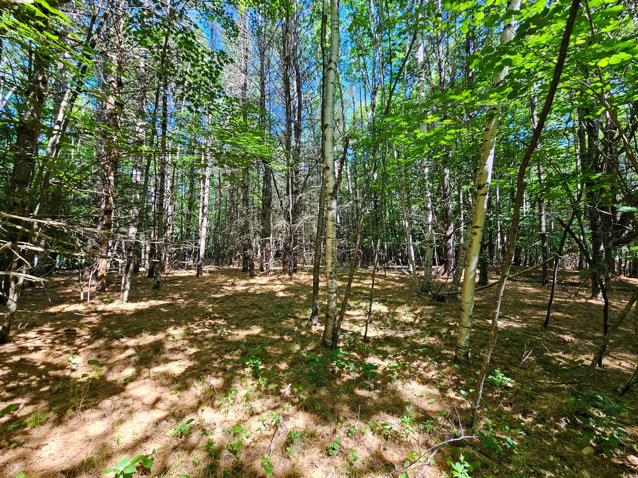 main property photo 9
