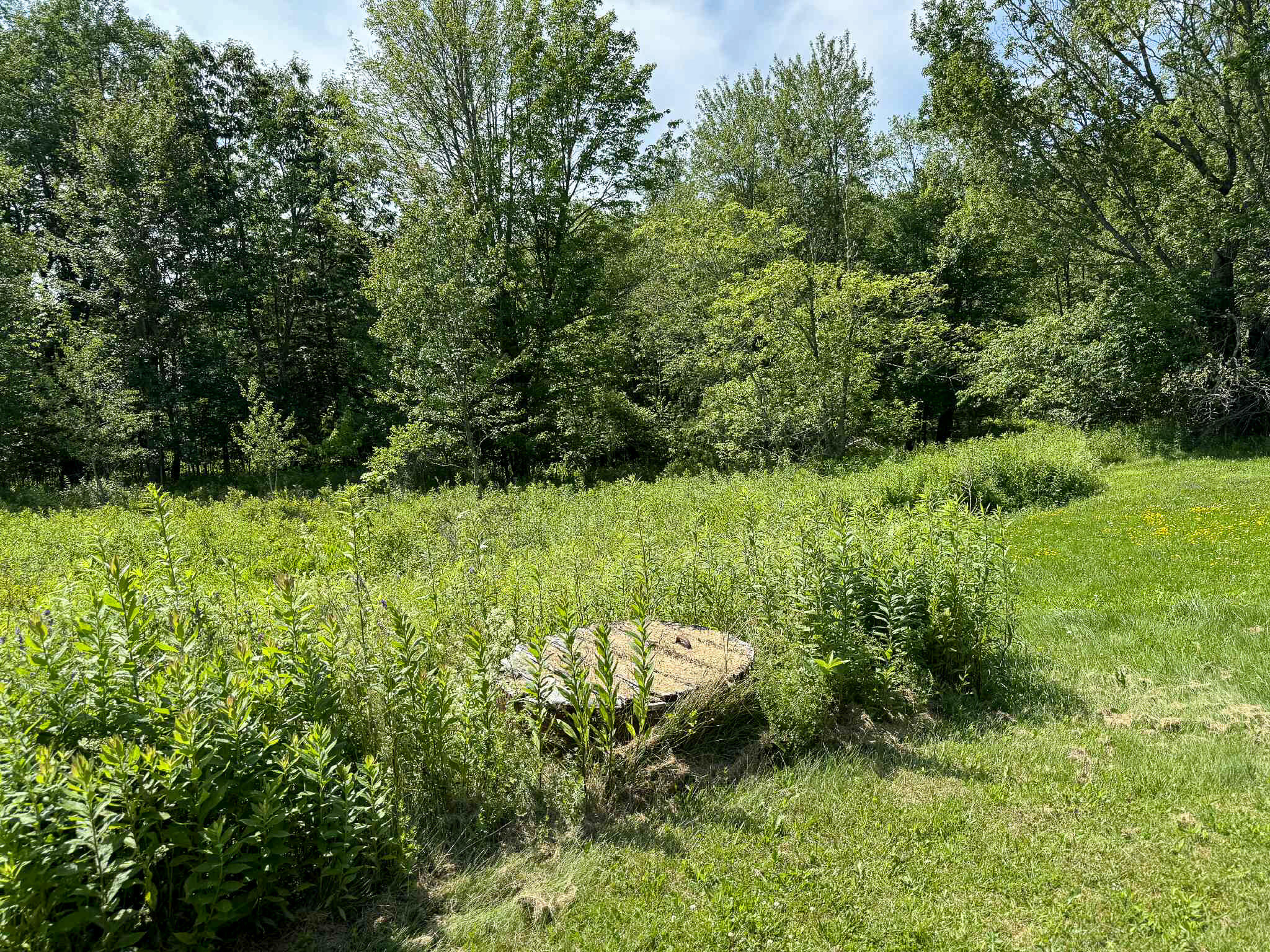 main property photo 12