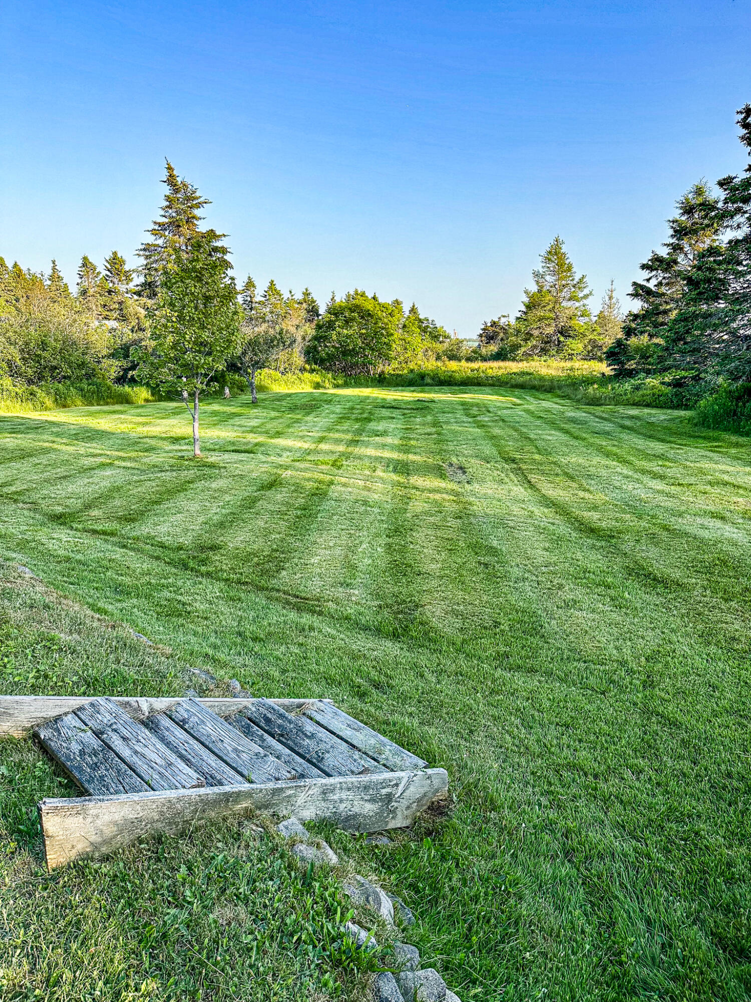 main property photo 81