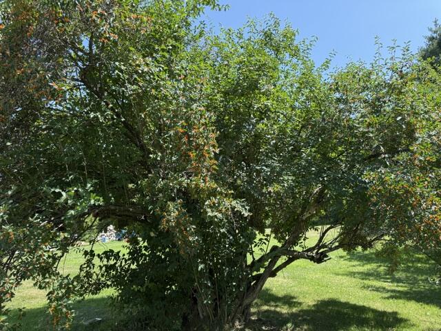 main property photo 103