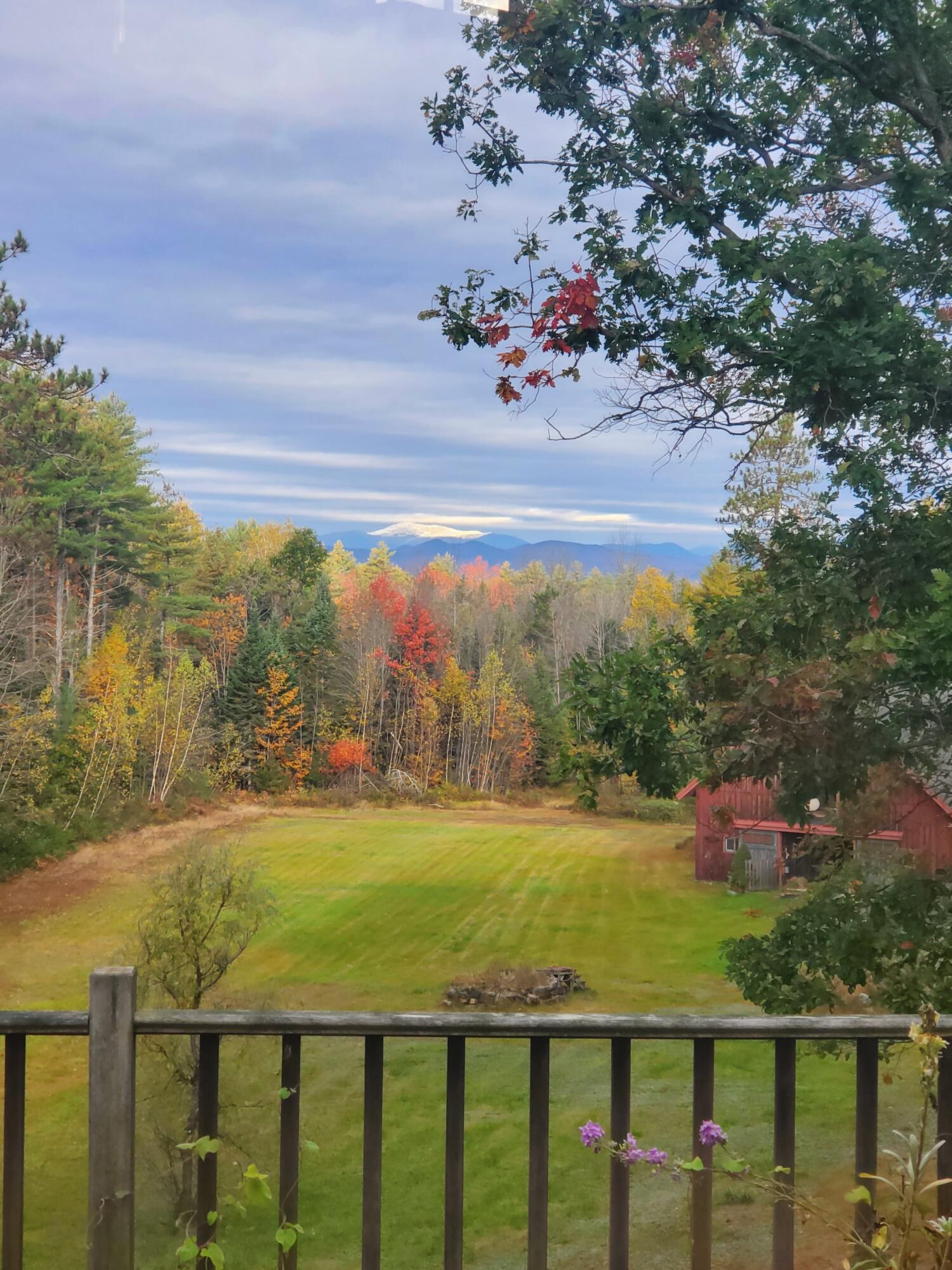 main property photo 46