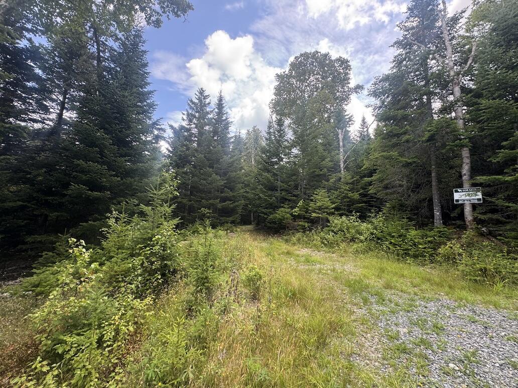 property viewer photo 4