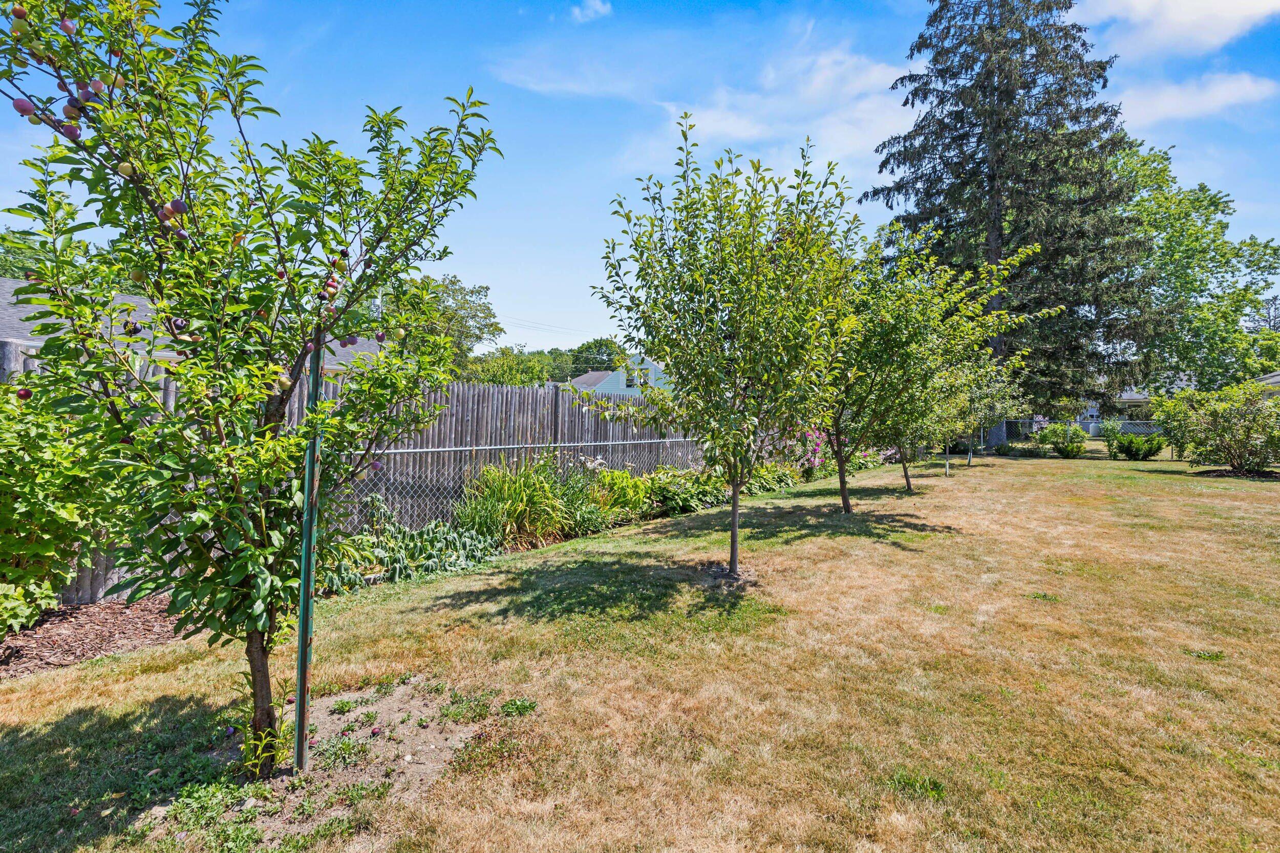 property viewer photo 25