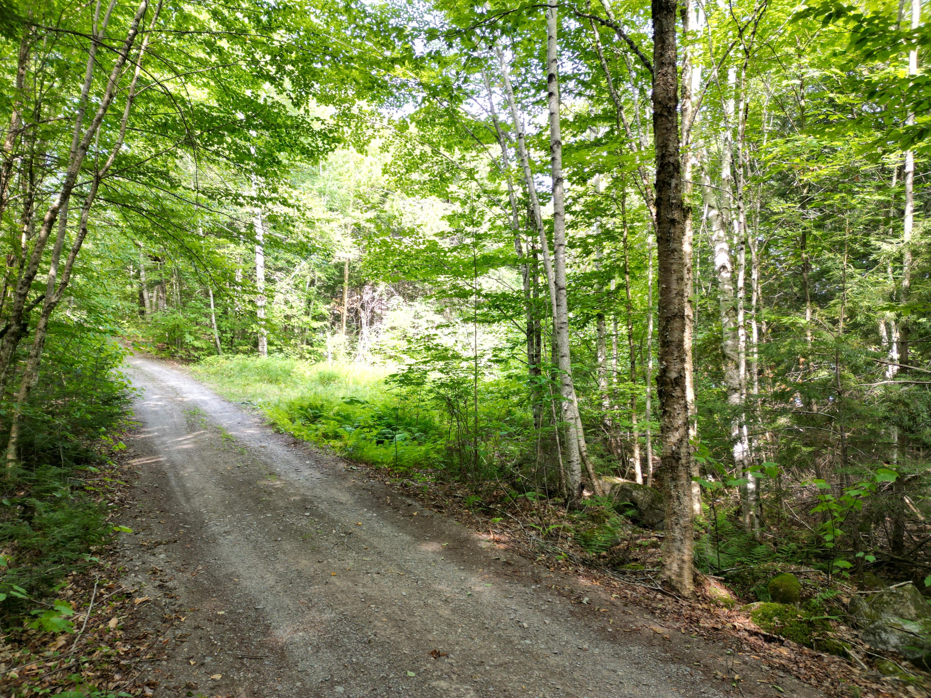 property viewer photo 11