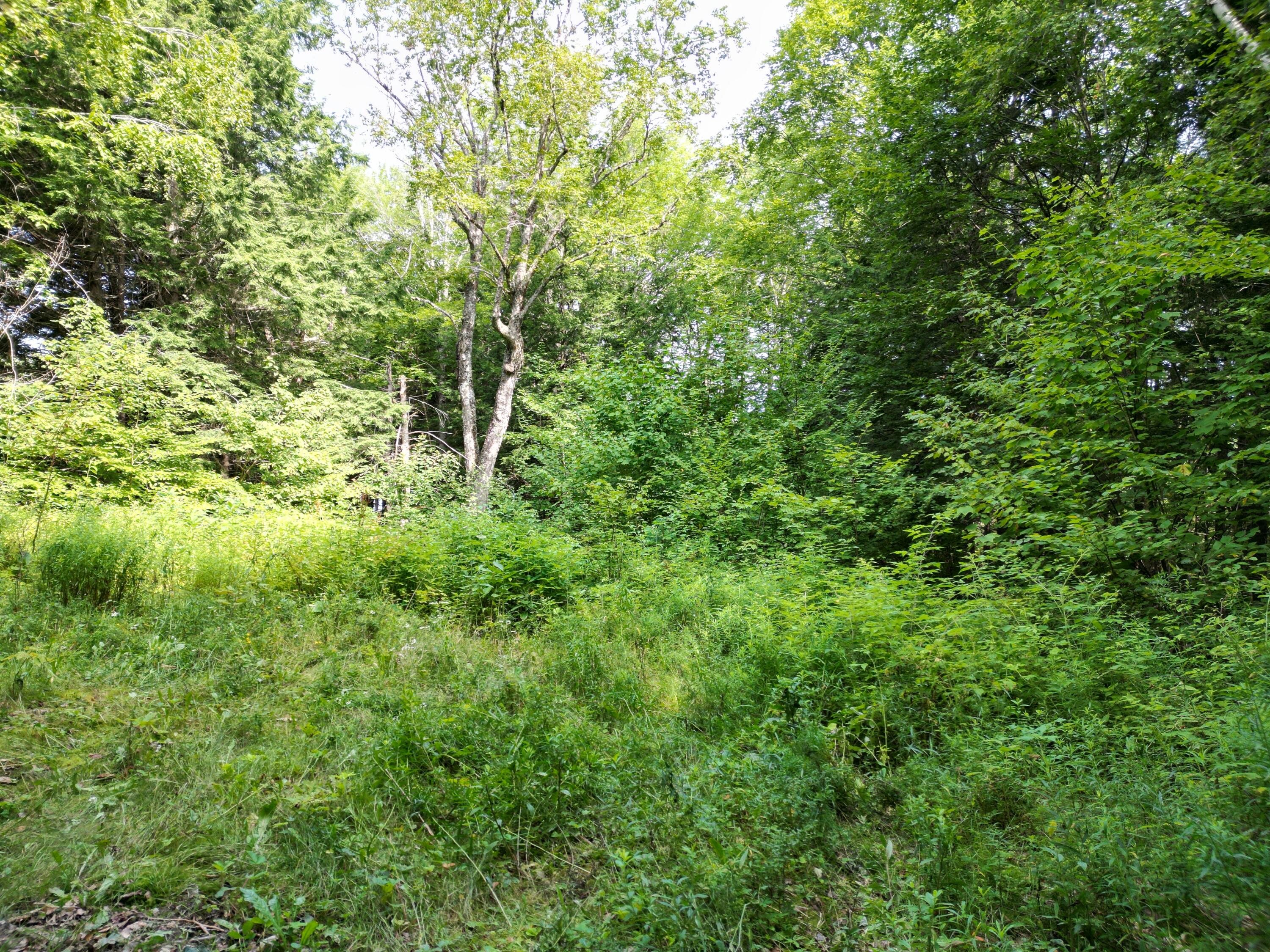 property viewer photo 14