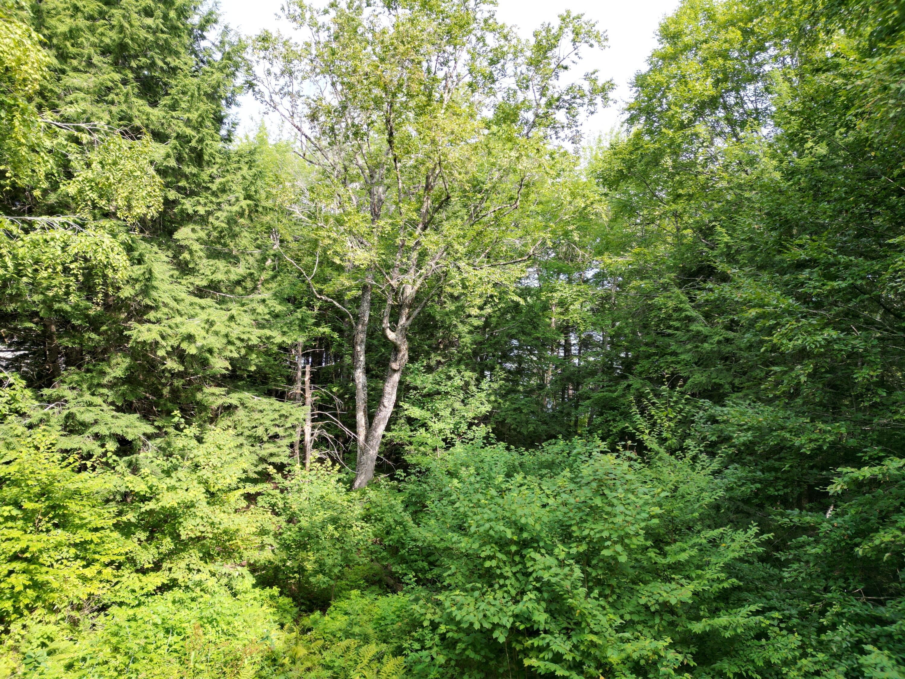 property viewer photo 15