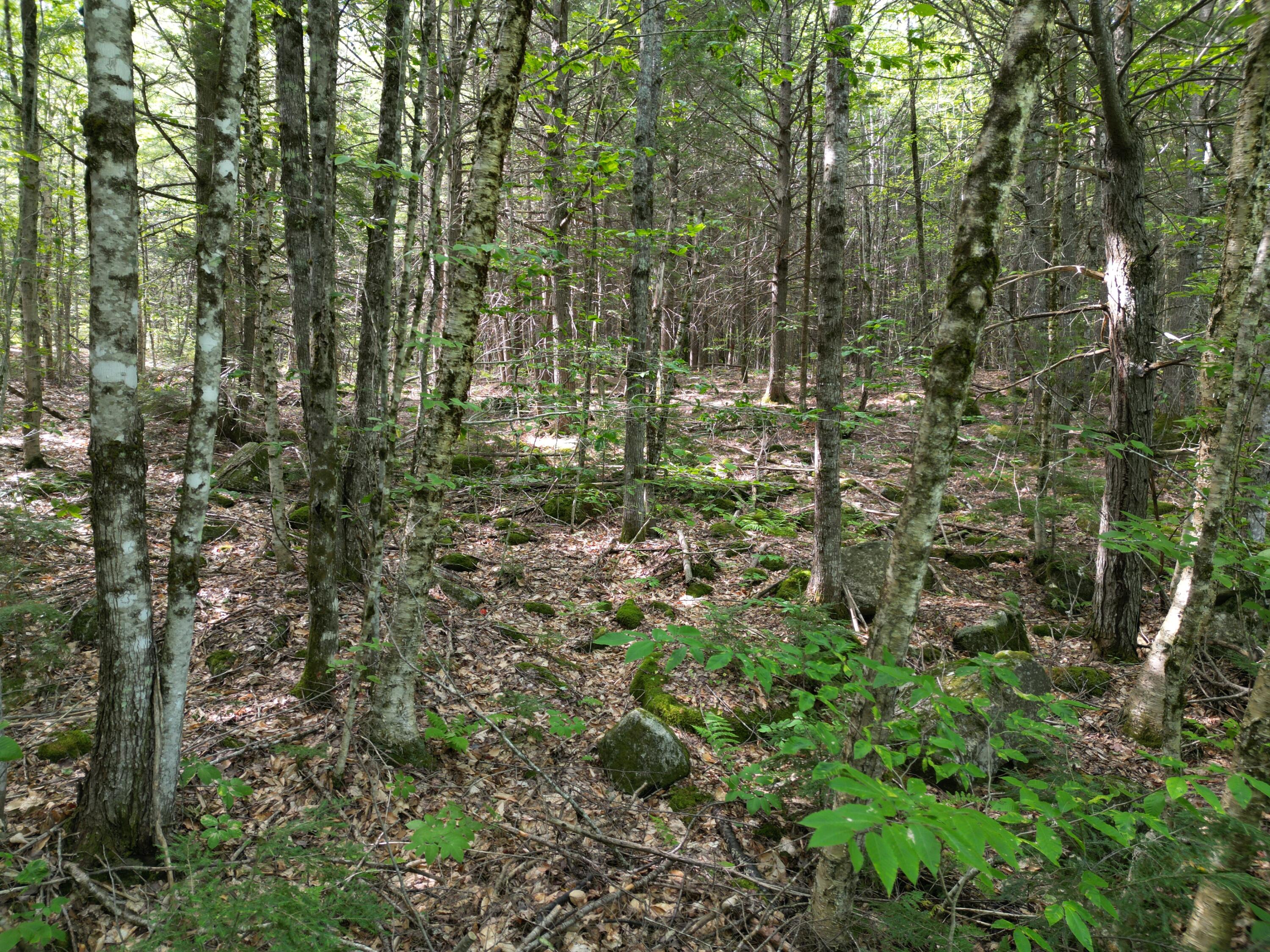 property viewer photo 8