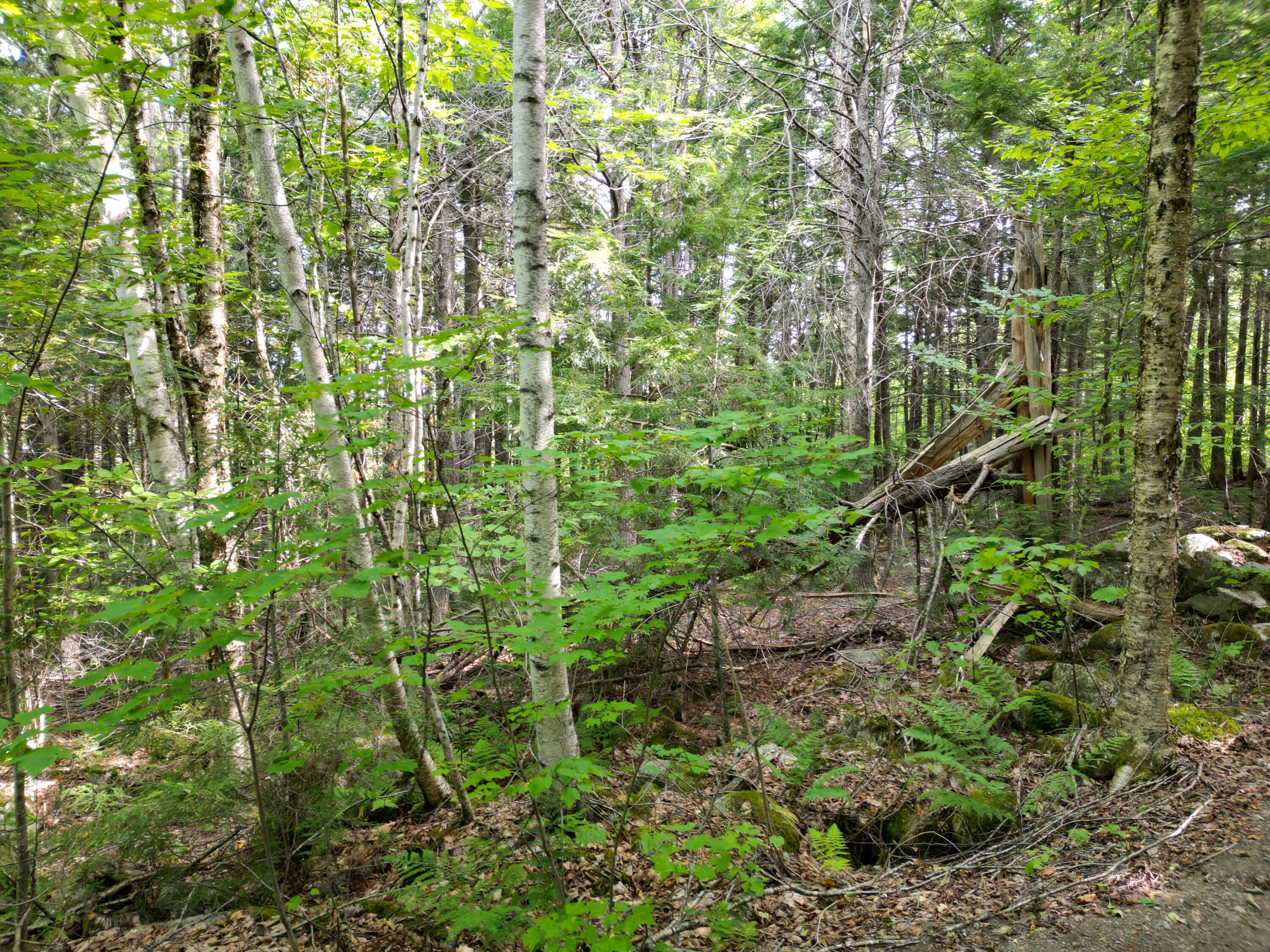 property viewer photo 9