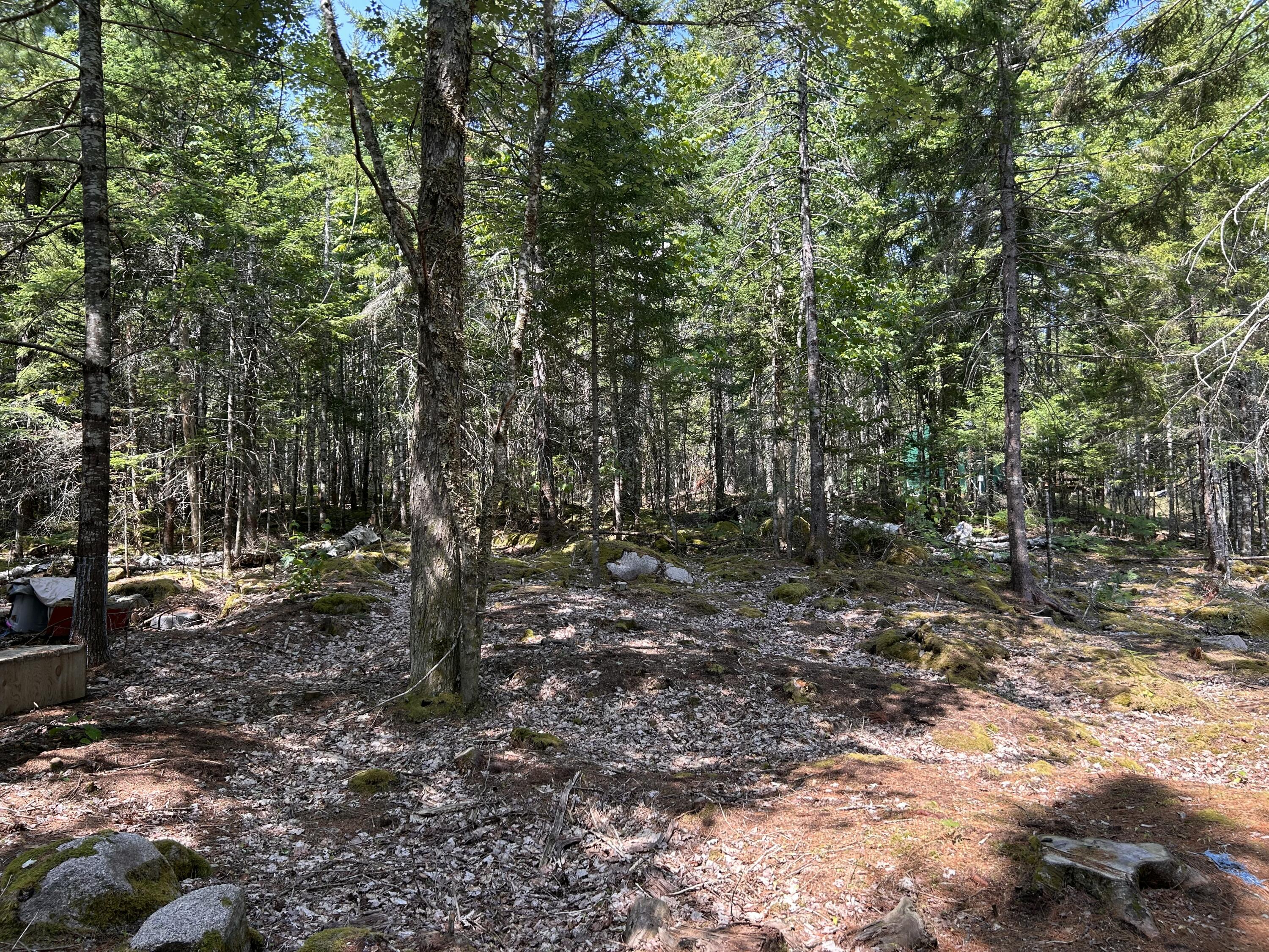 main property photo 10