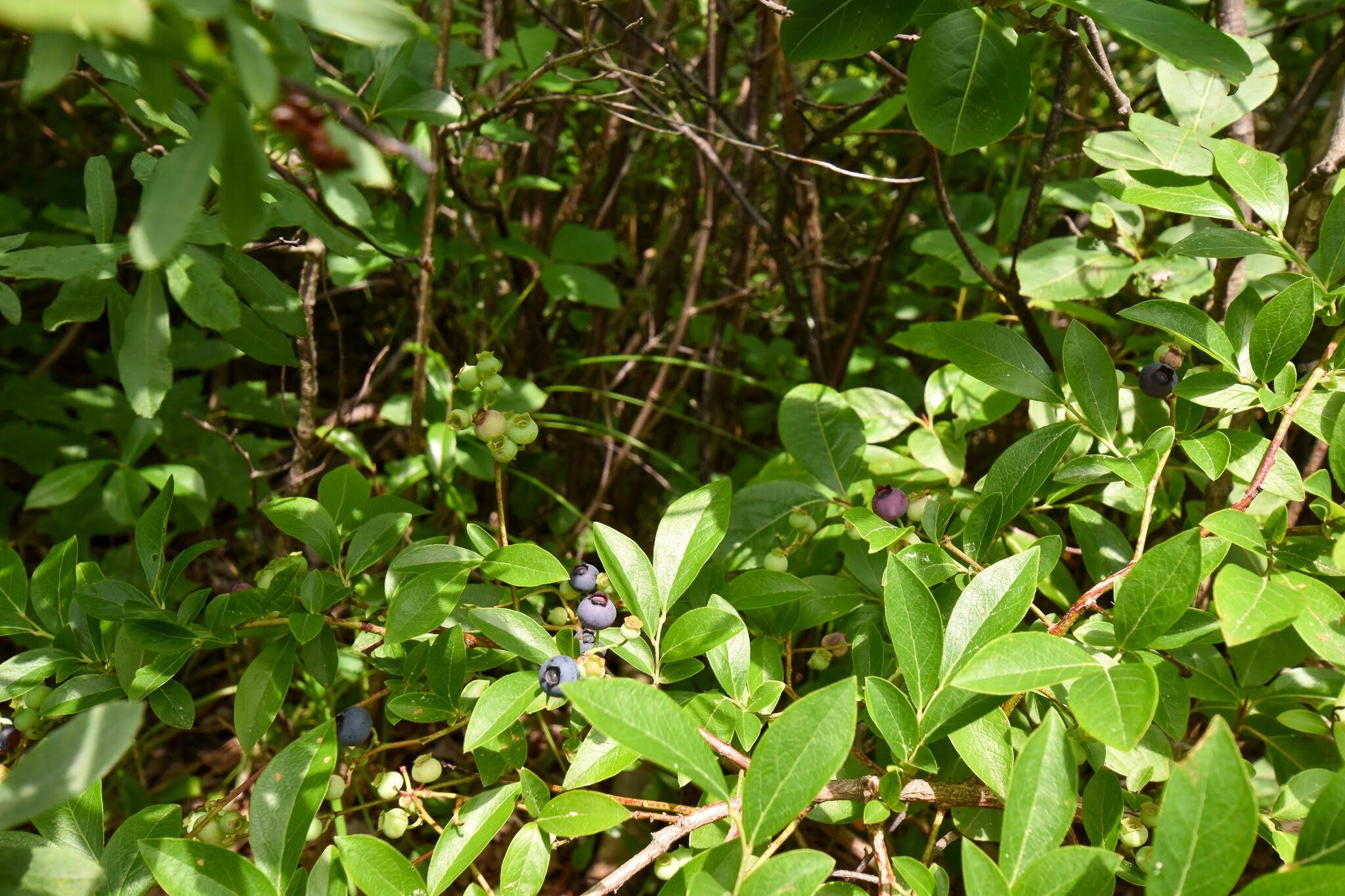 main property photo 56