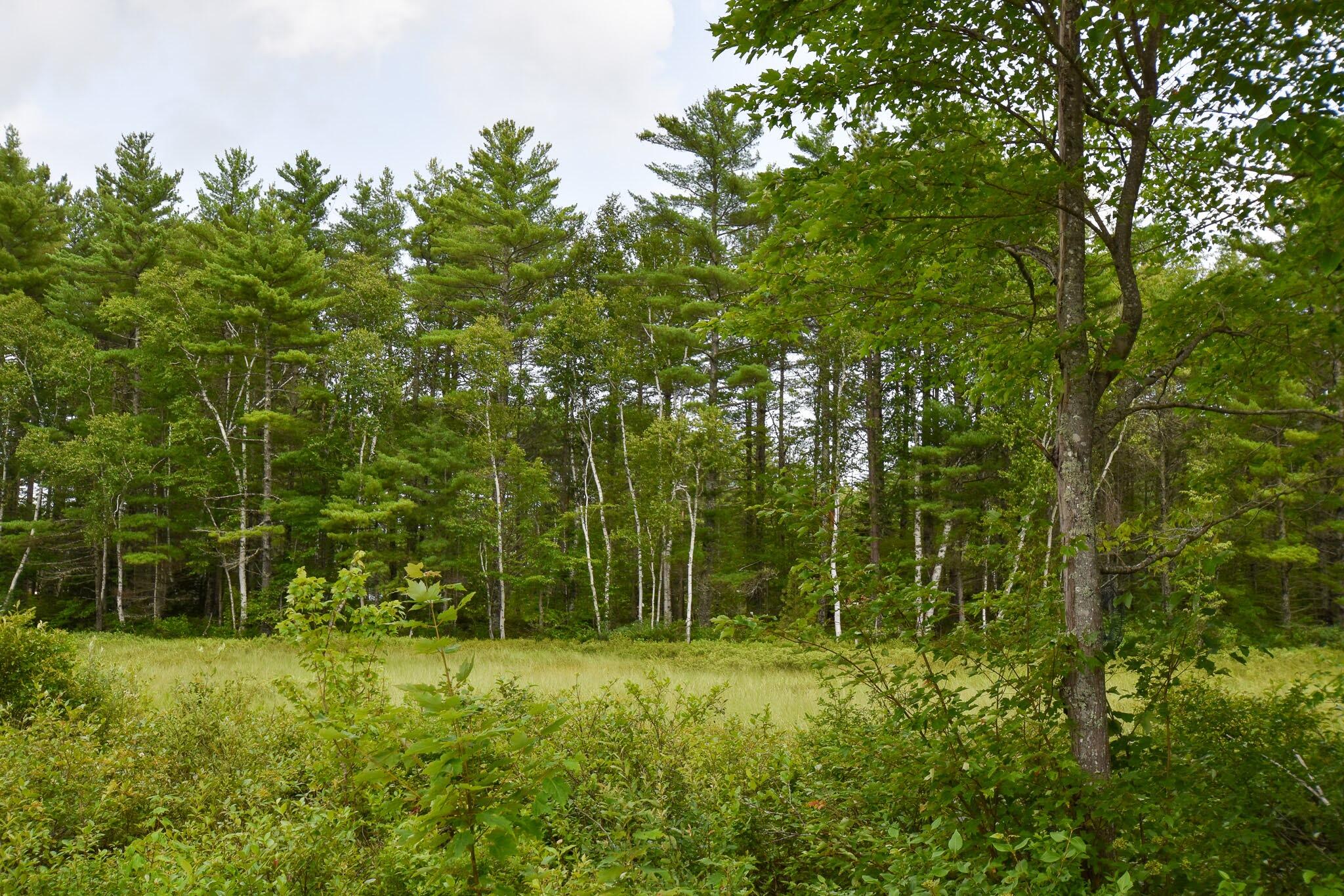 main property photo 58