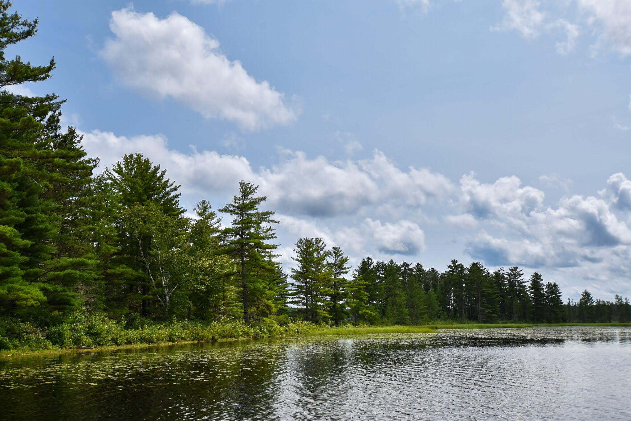 main property photo 62
