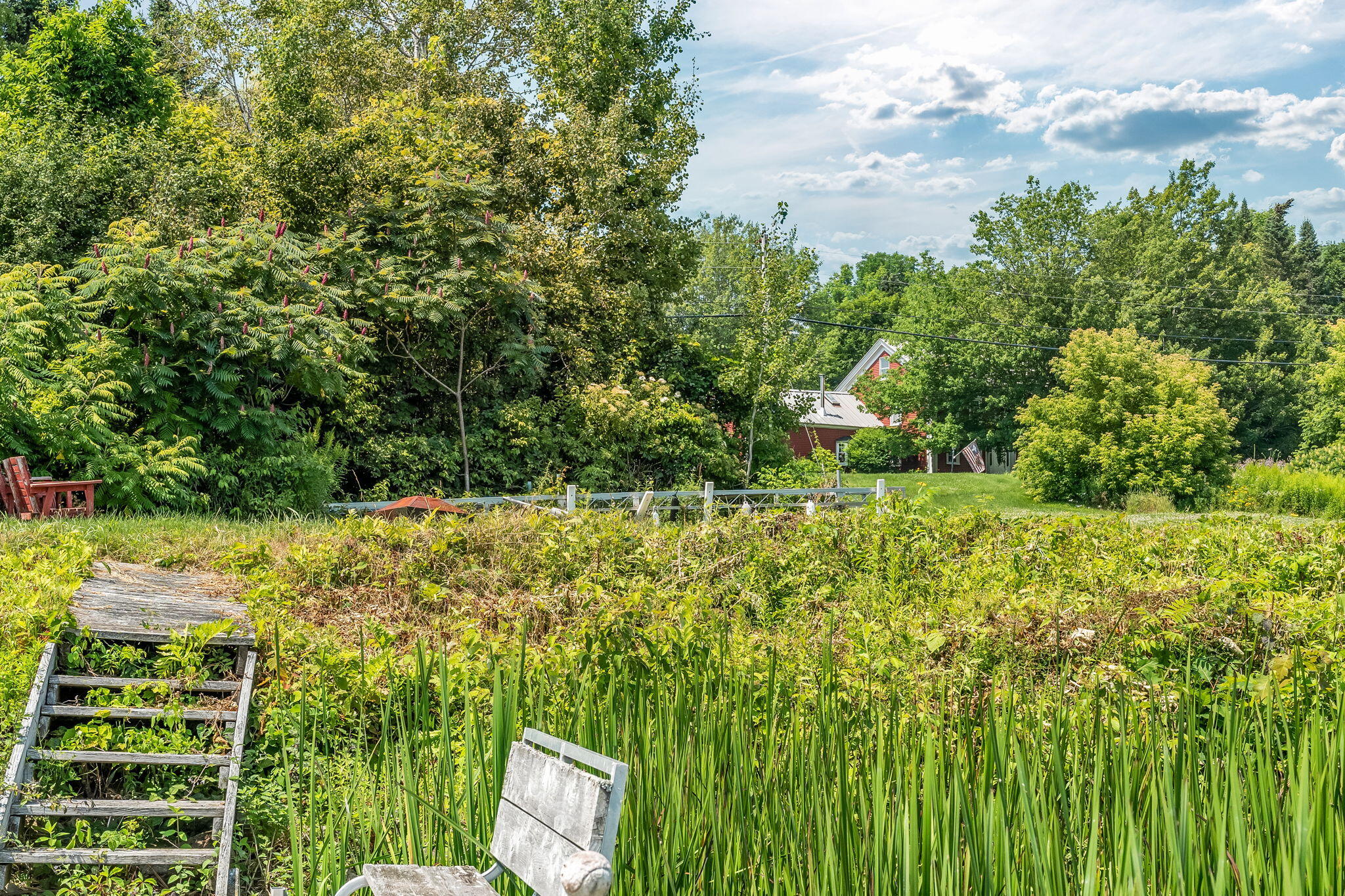 main property photo 86