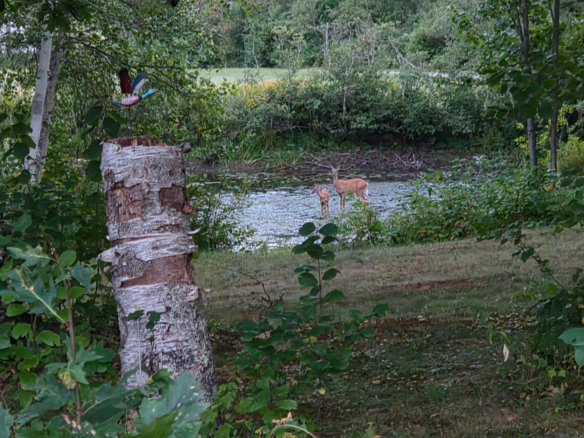main property photo 20