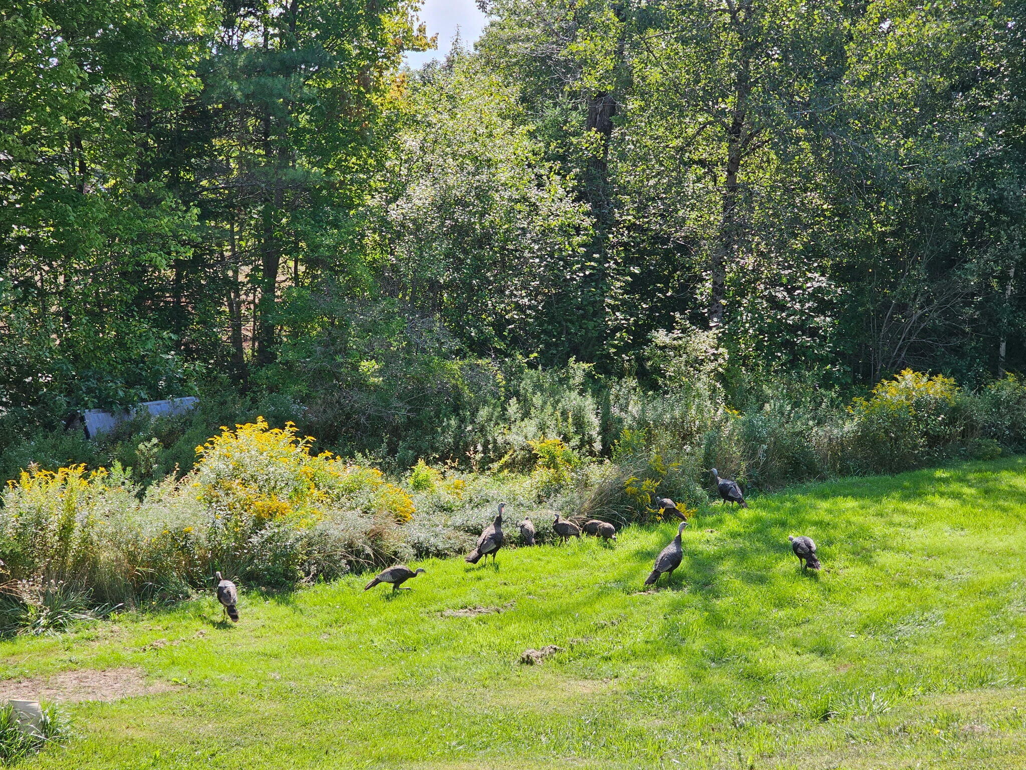 main property photo 21
