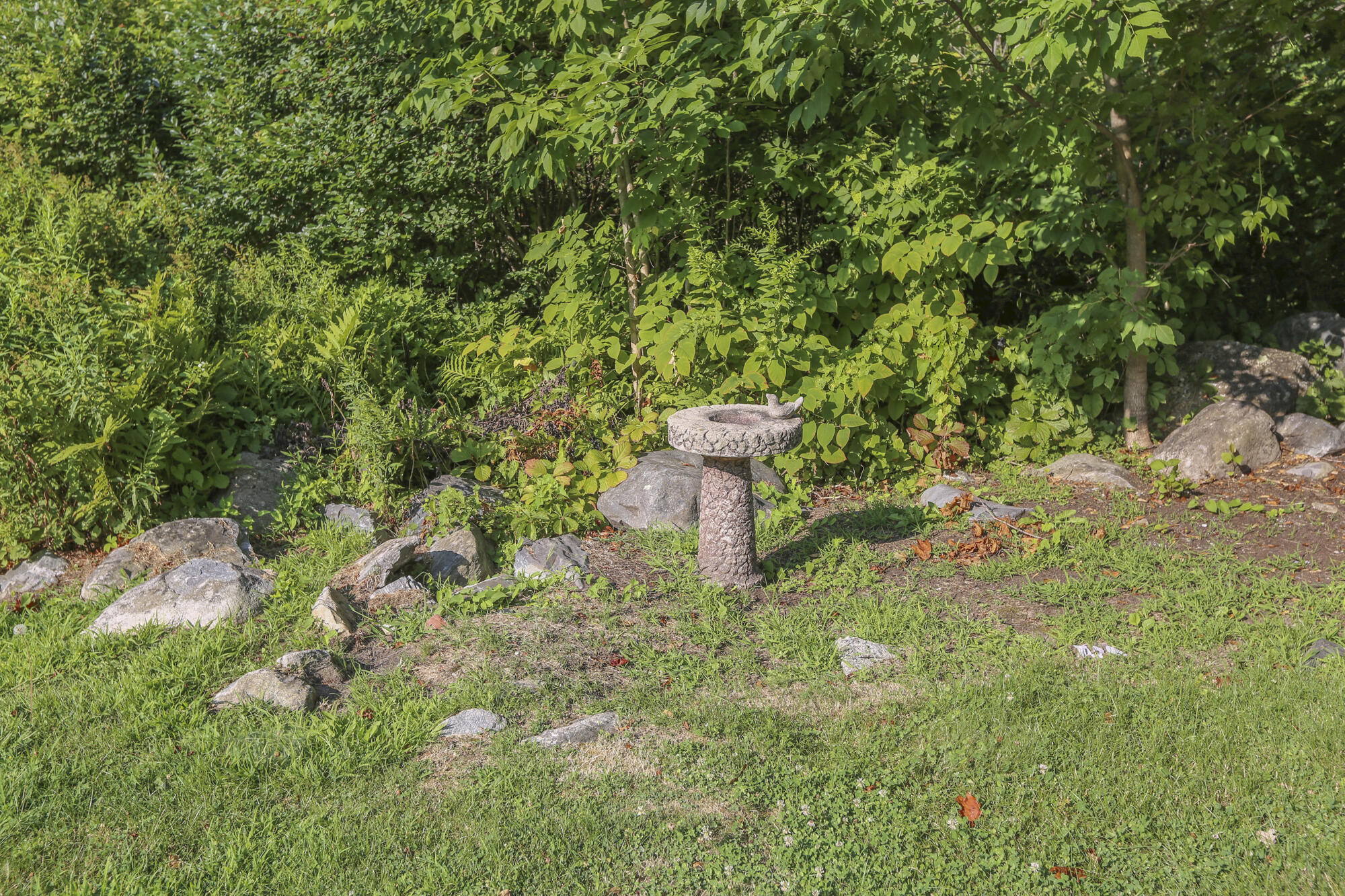 main property photo 66