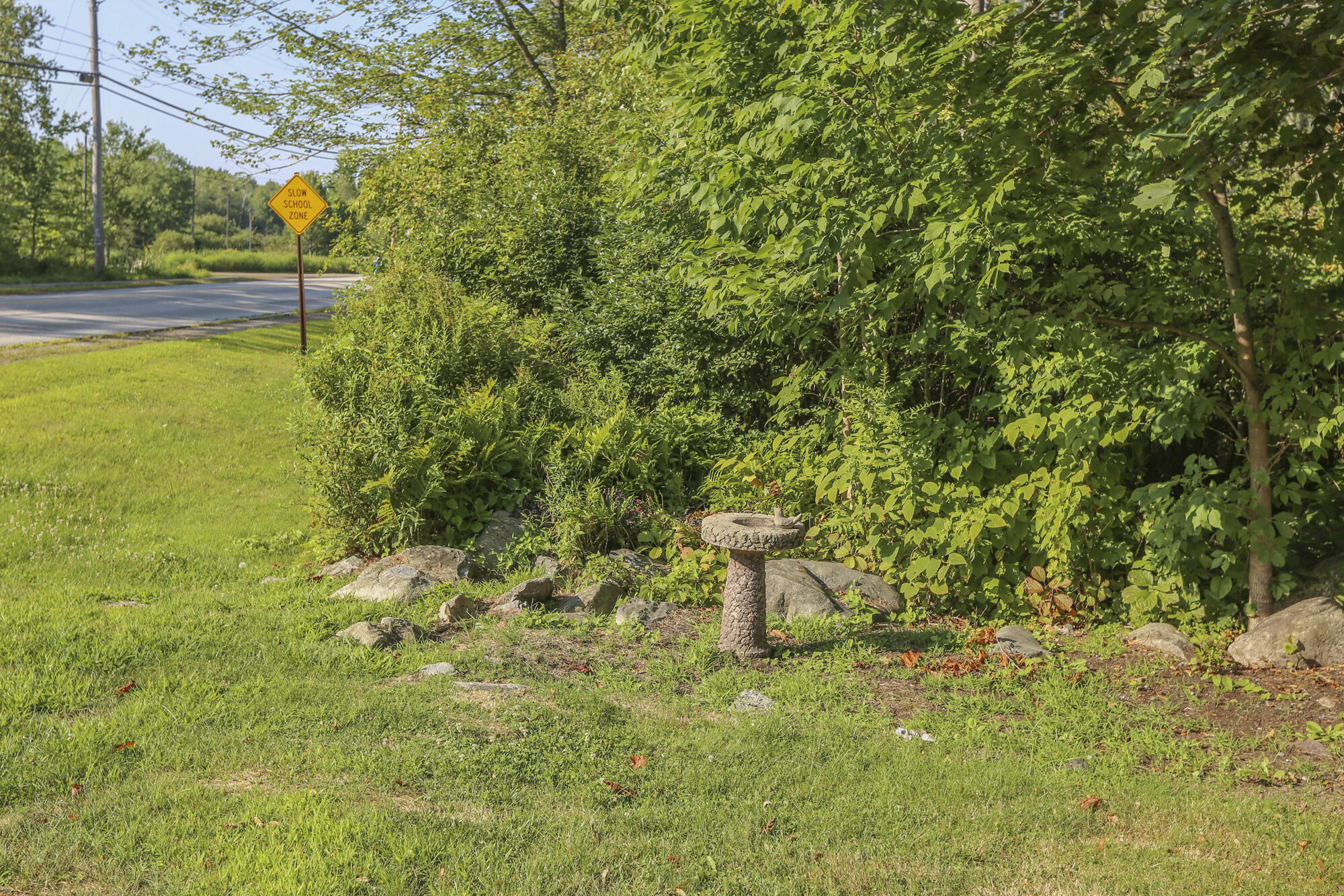 main property photo 67