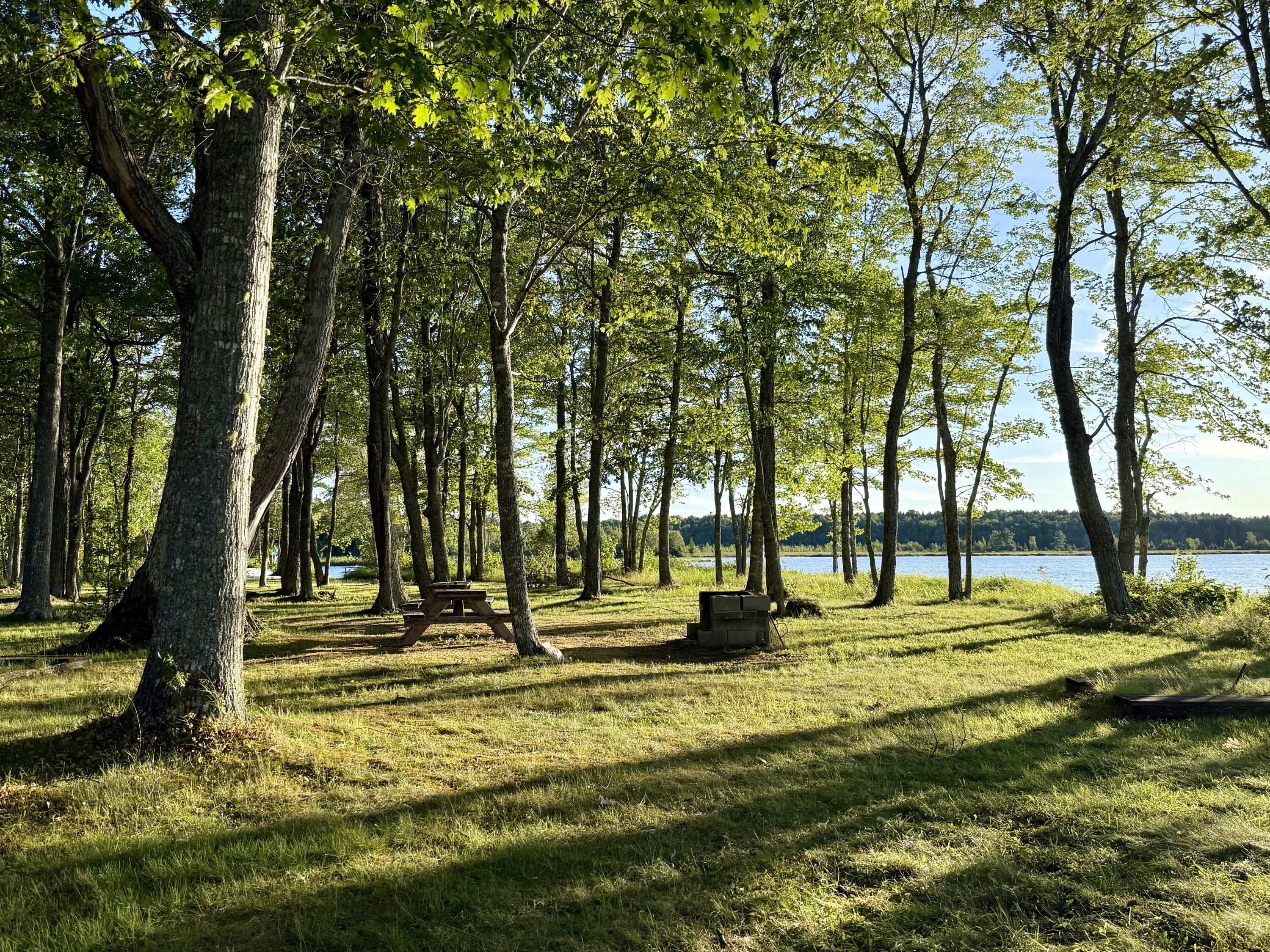 main property photo 66