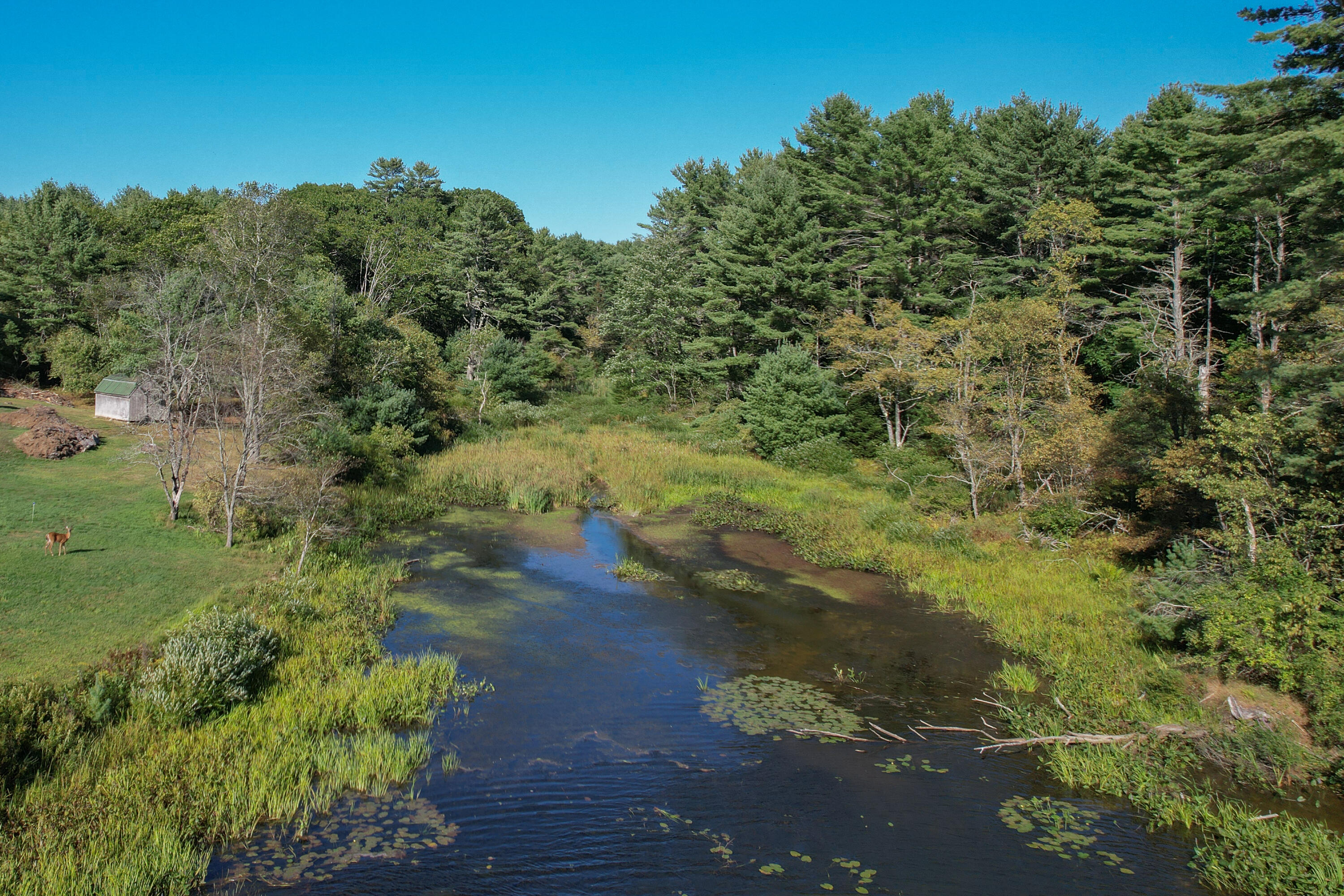 main property photo 18