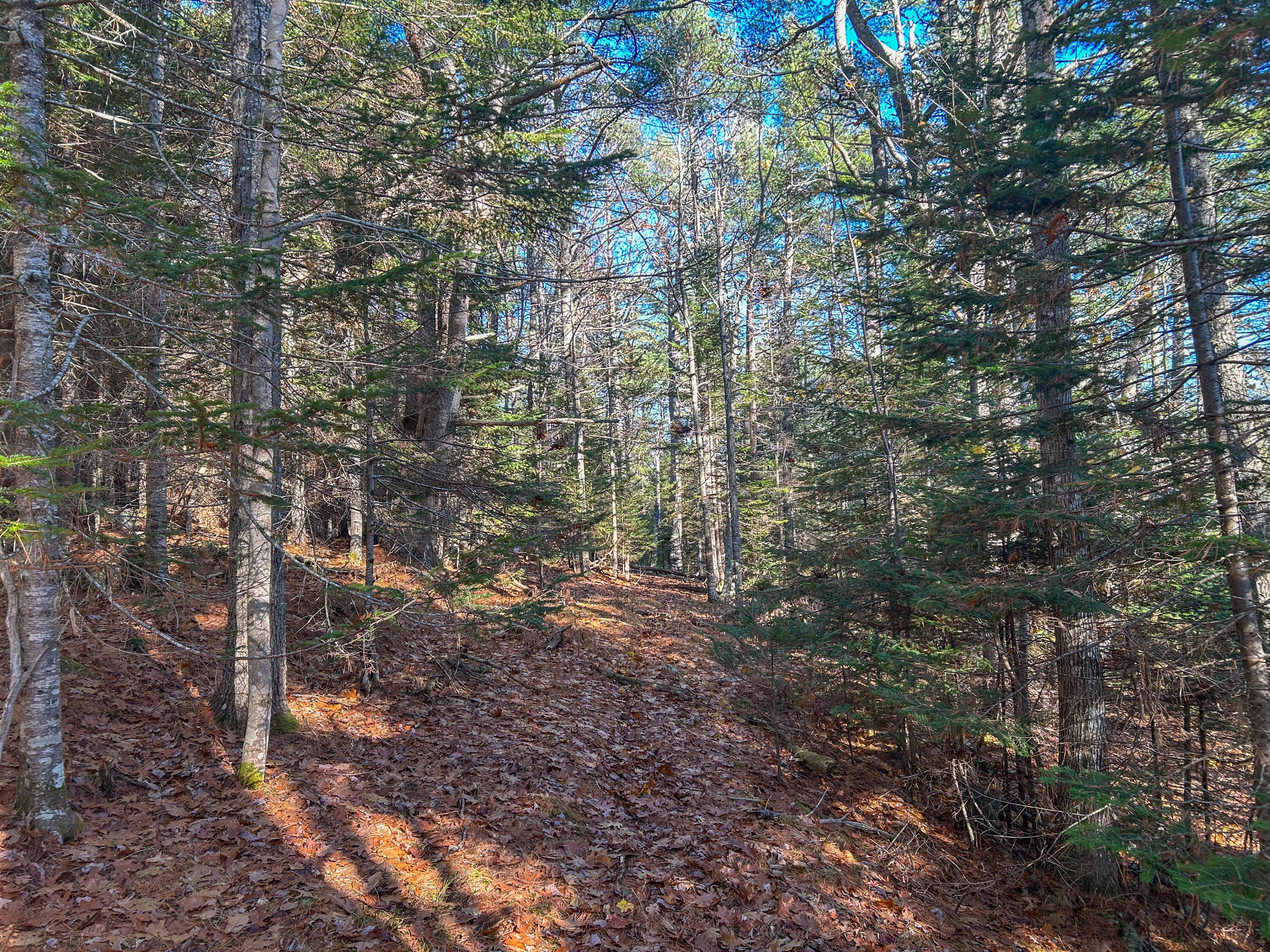 main property photo 31