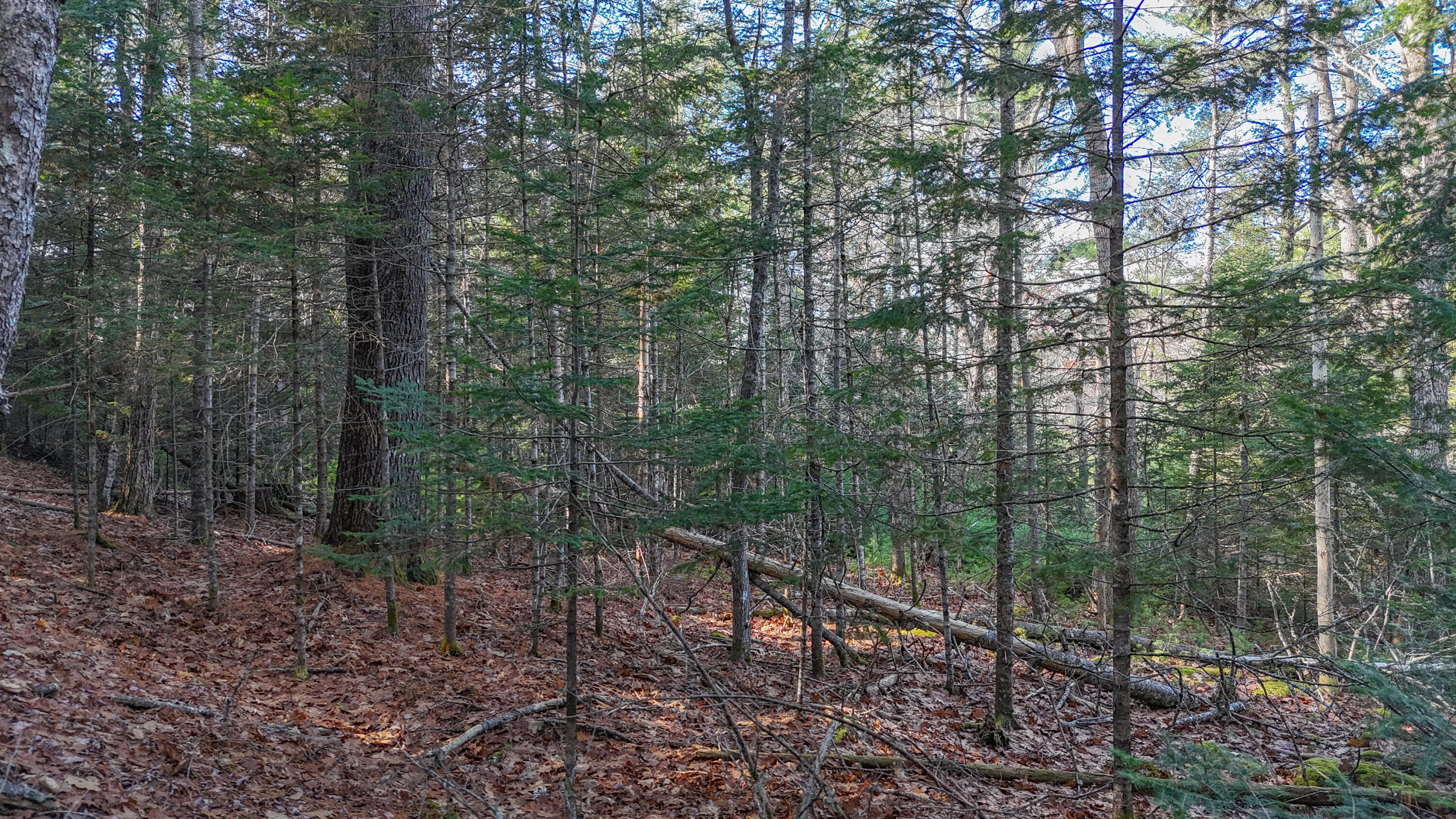 main property photo 37
