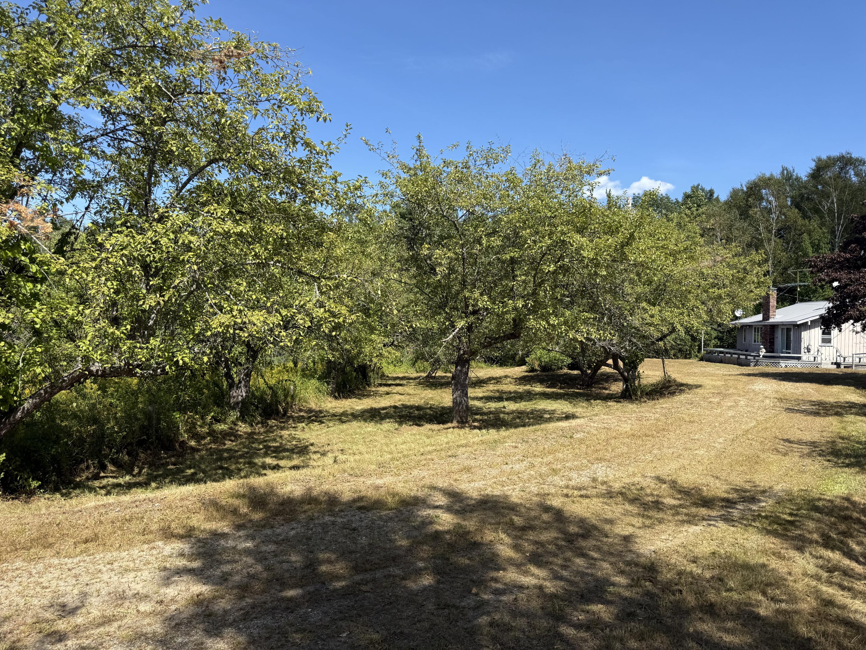 main property photo 53