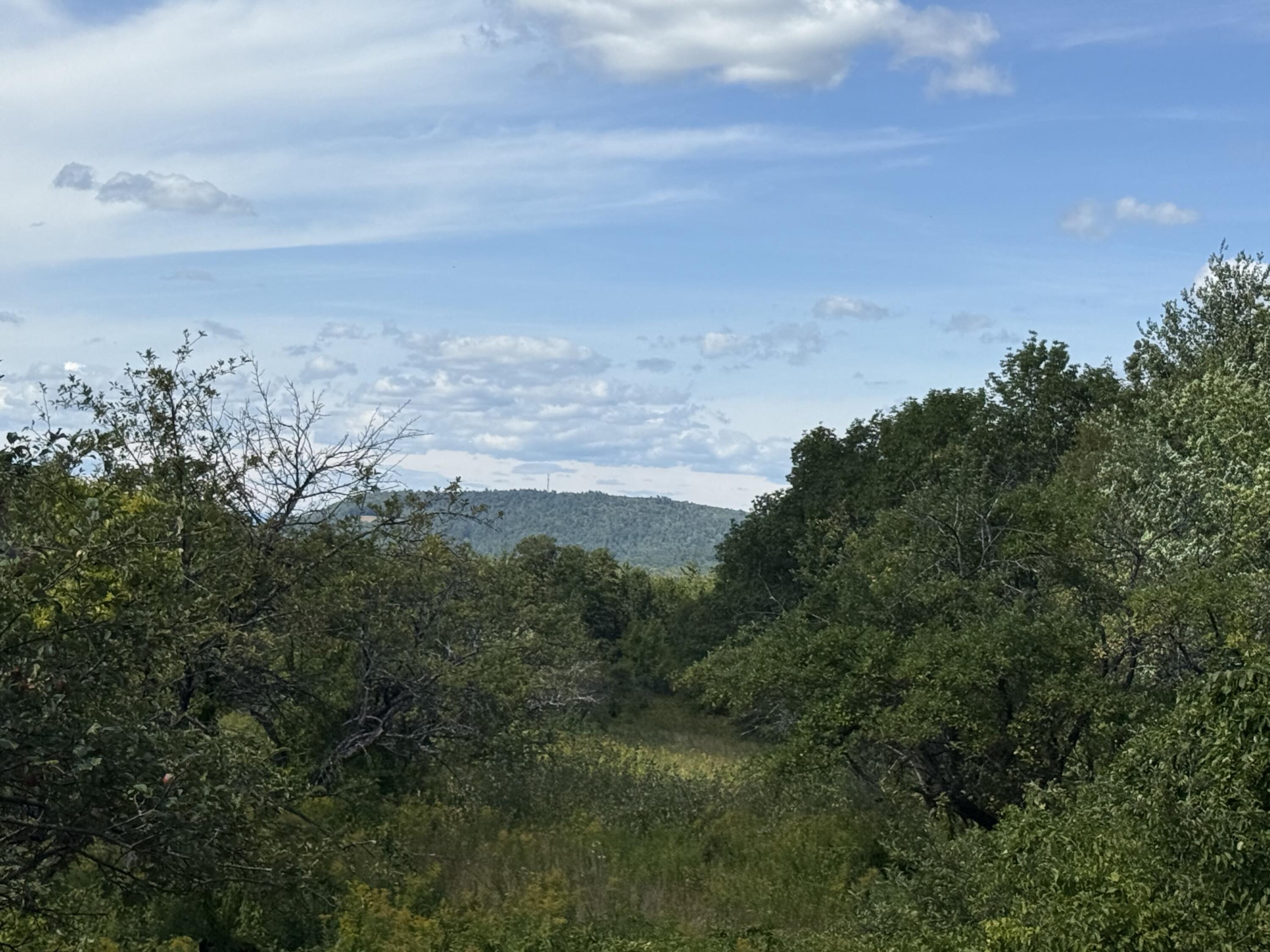 main property photo 56