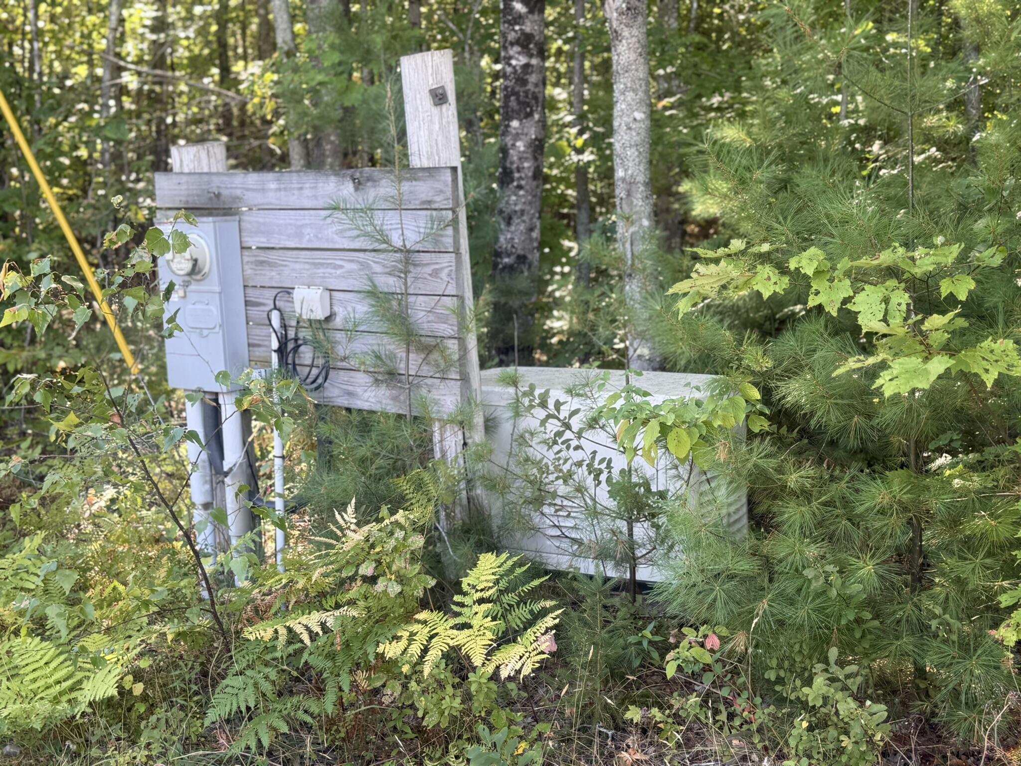 main property photo 67