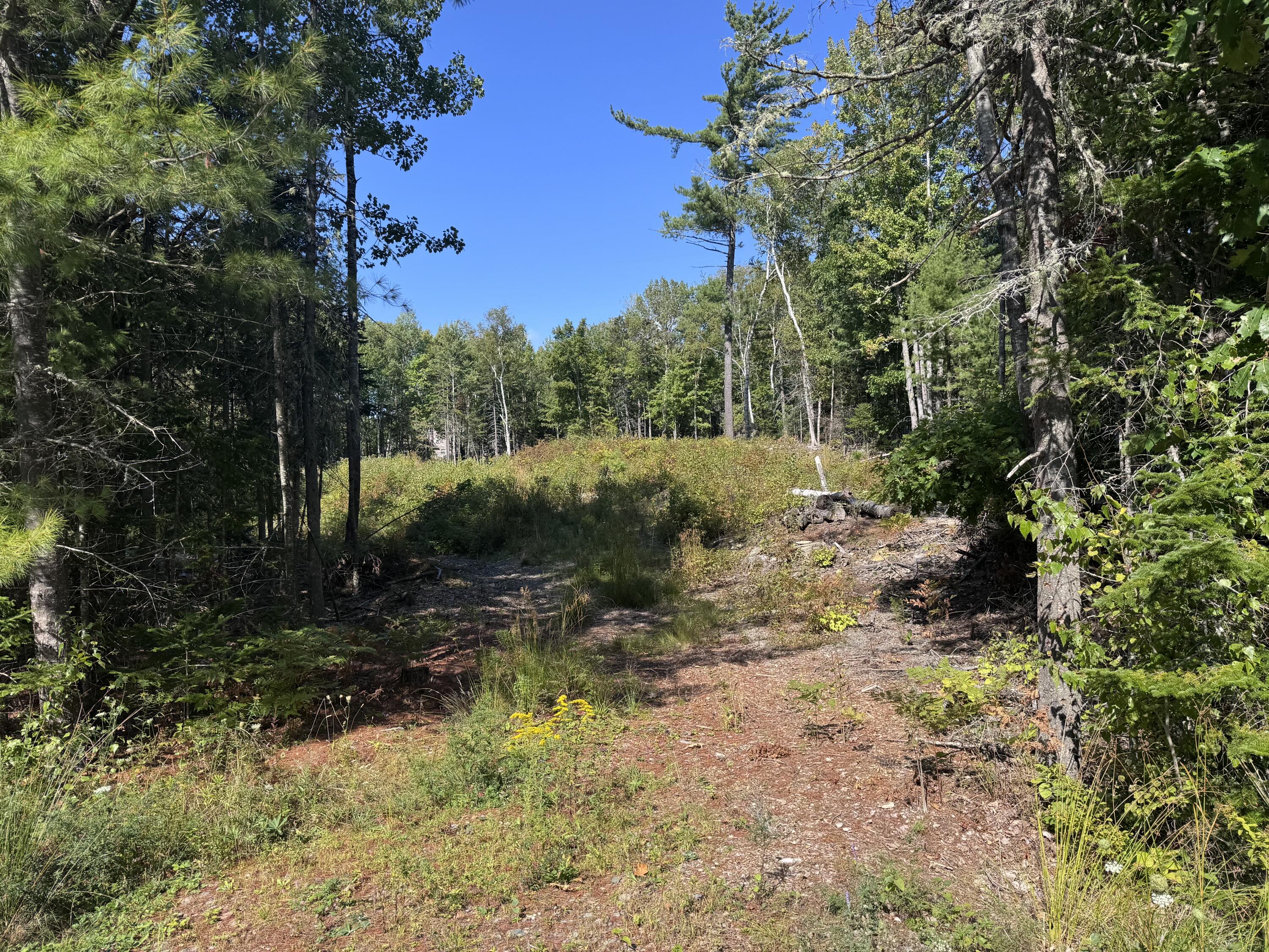 property viewer photo 10