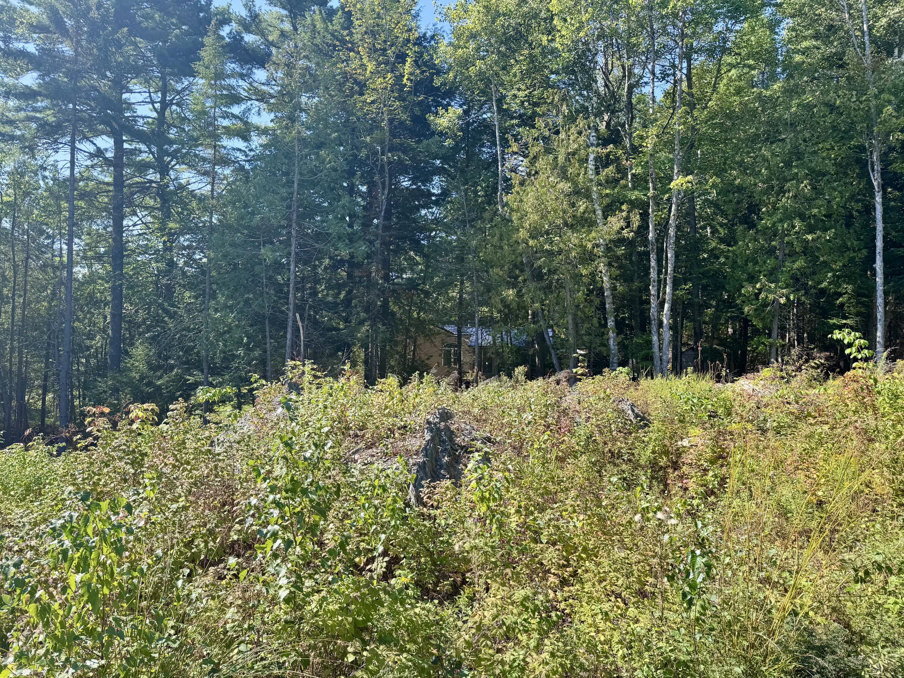 property viewer photo 4