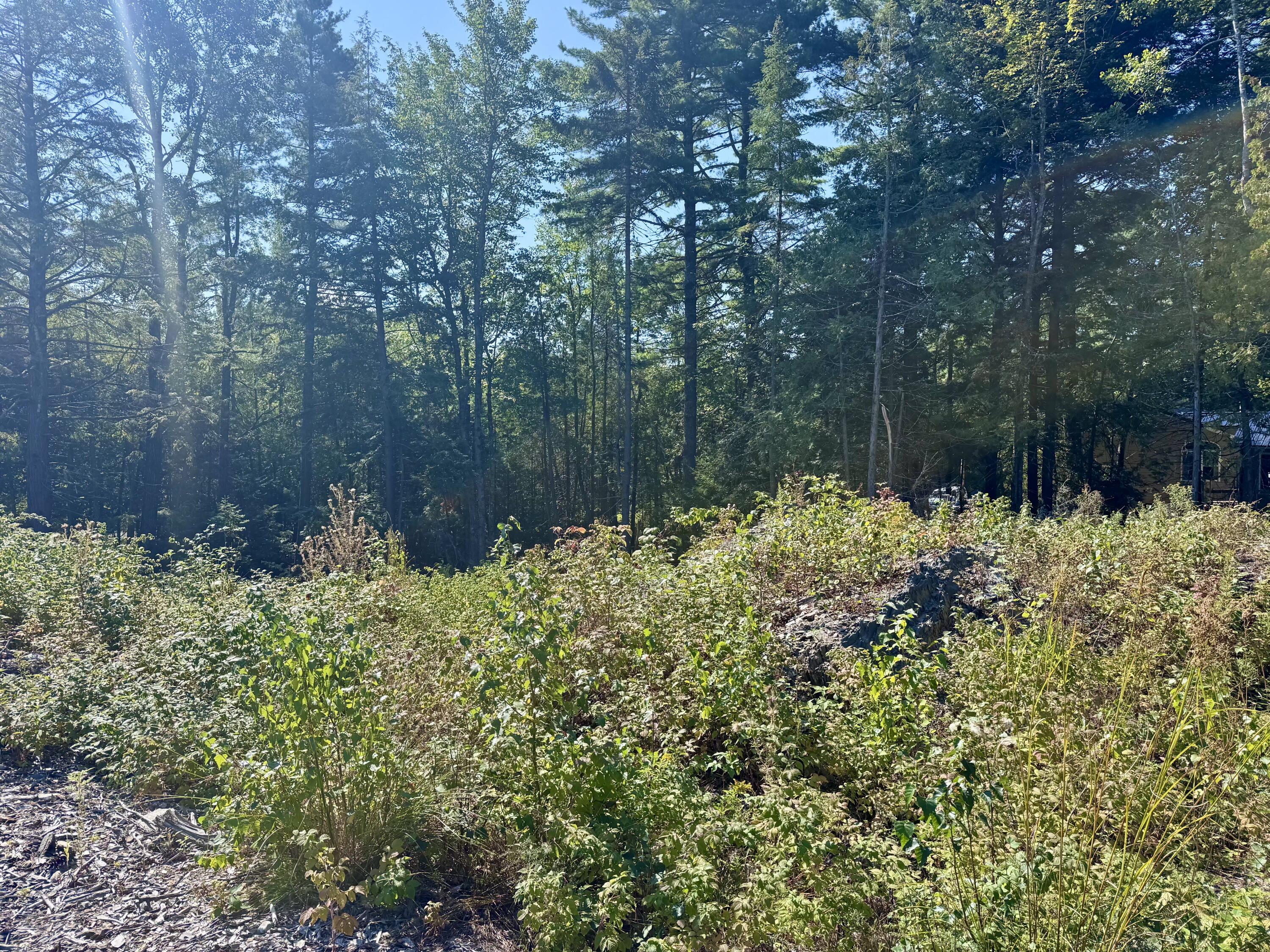 property viewer photo 5