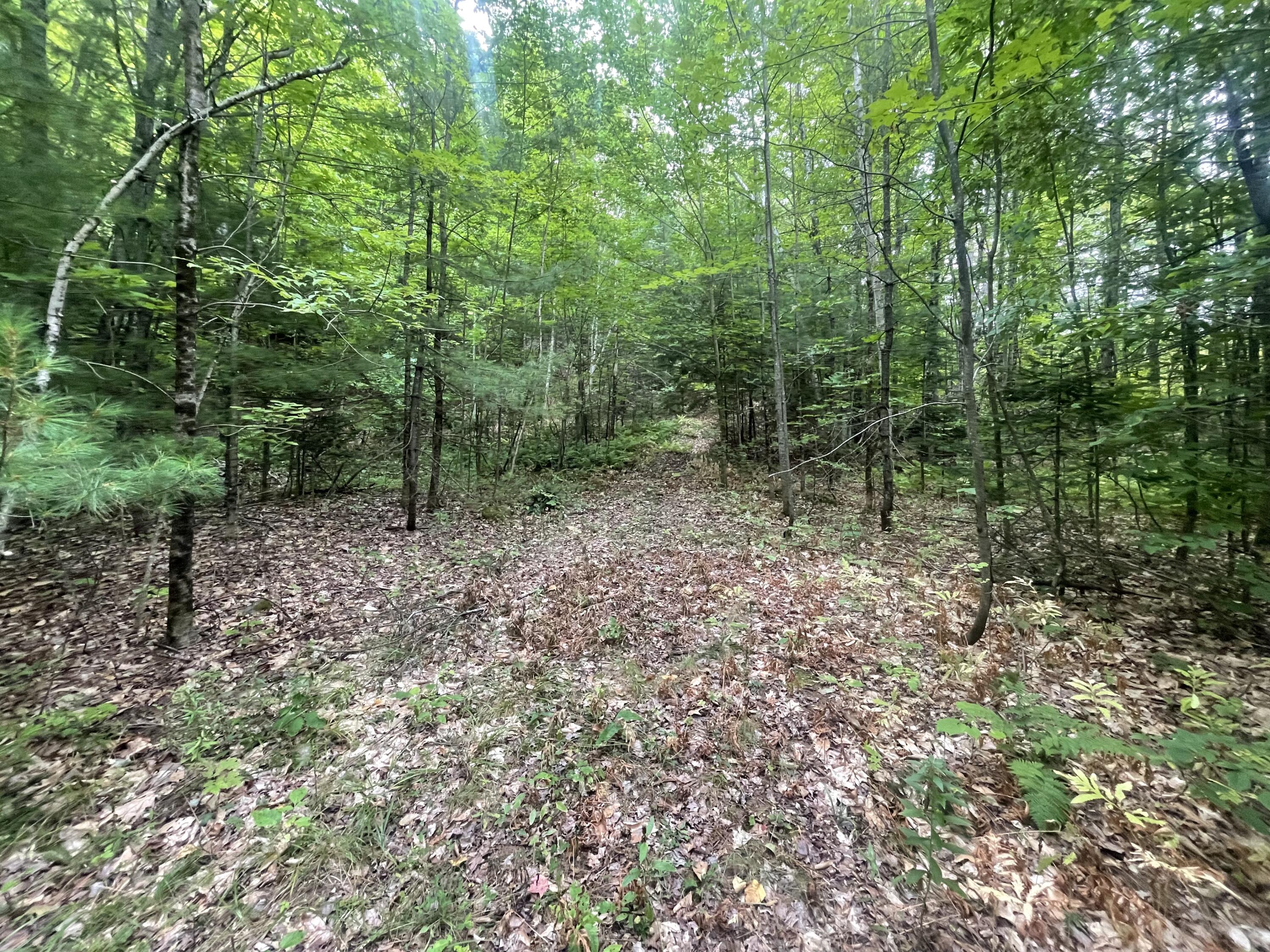 main property photo 11