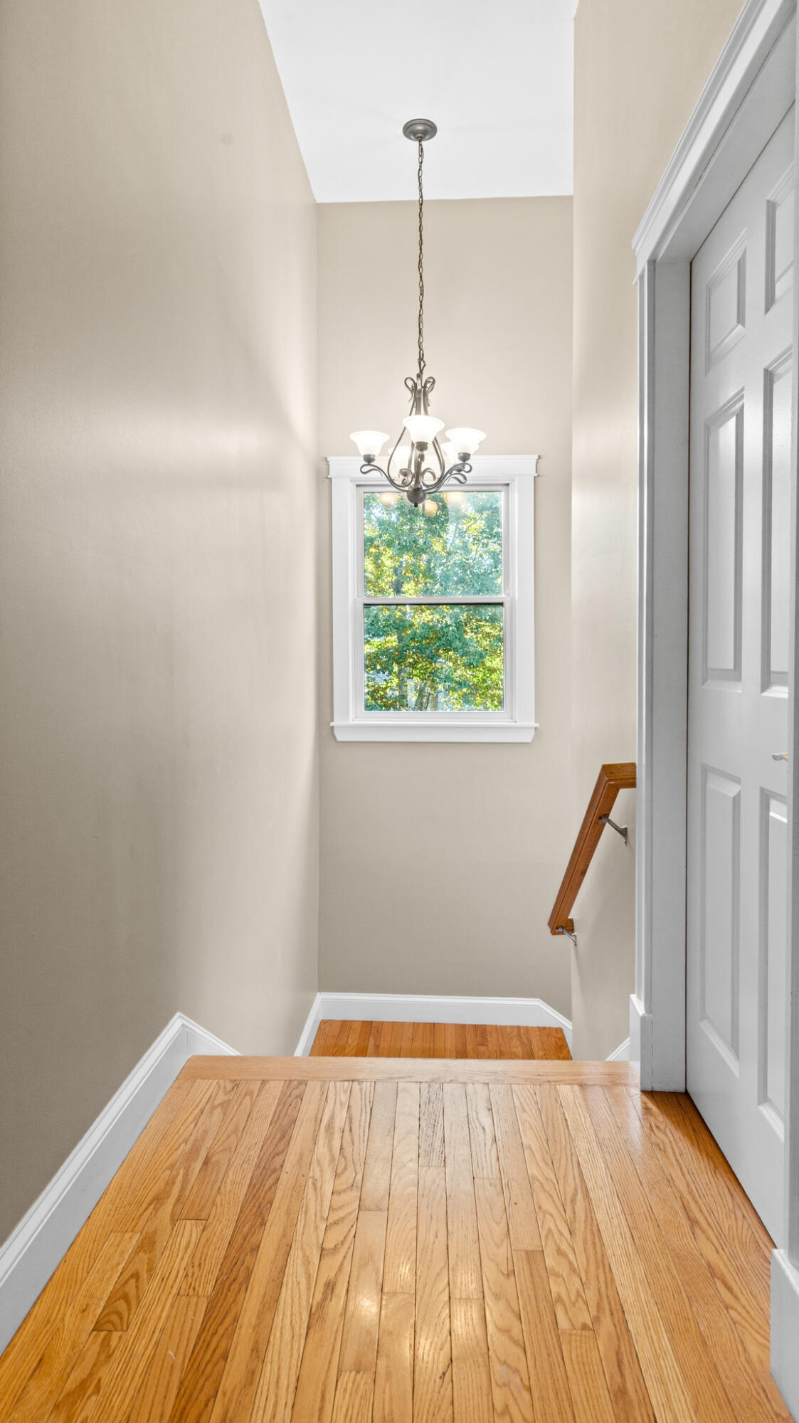 property viewer photo 42