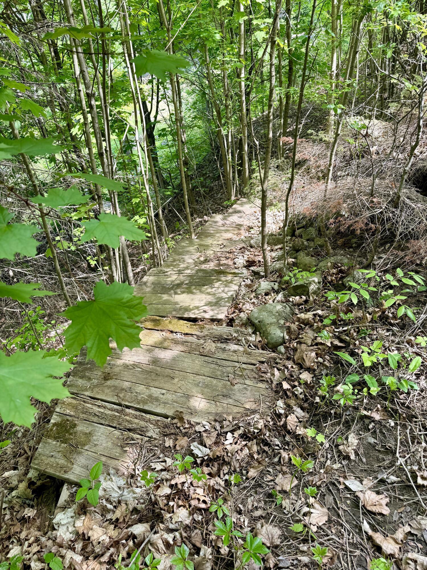 main property photo 7