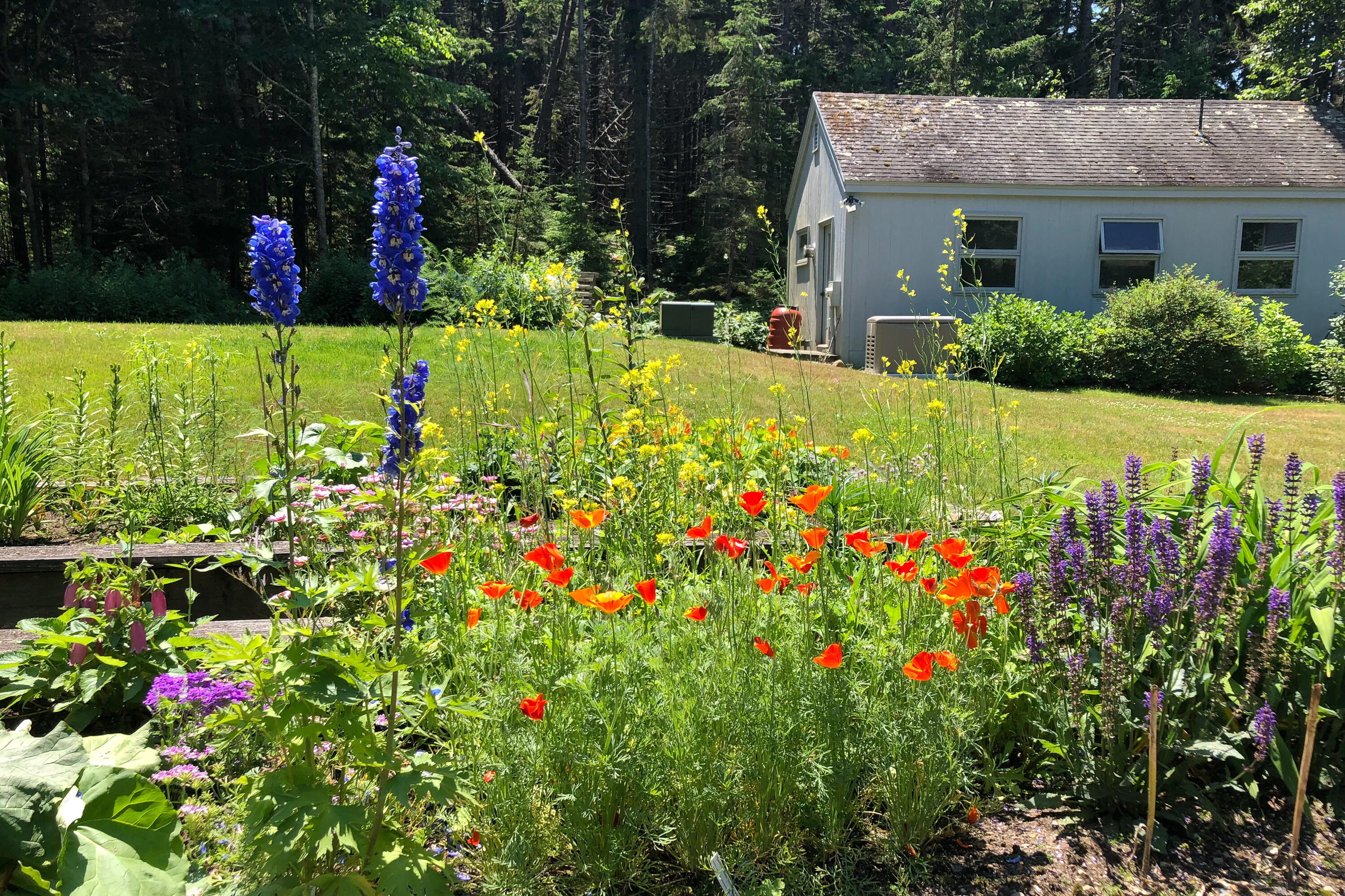 main property photo 107