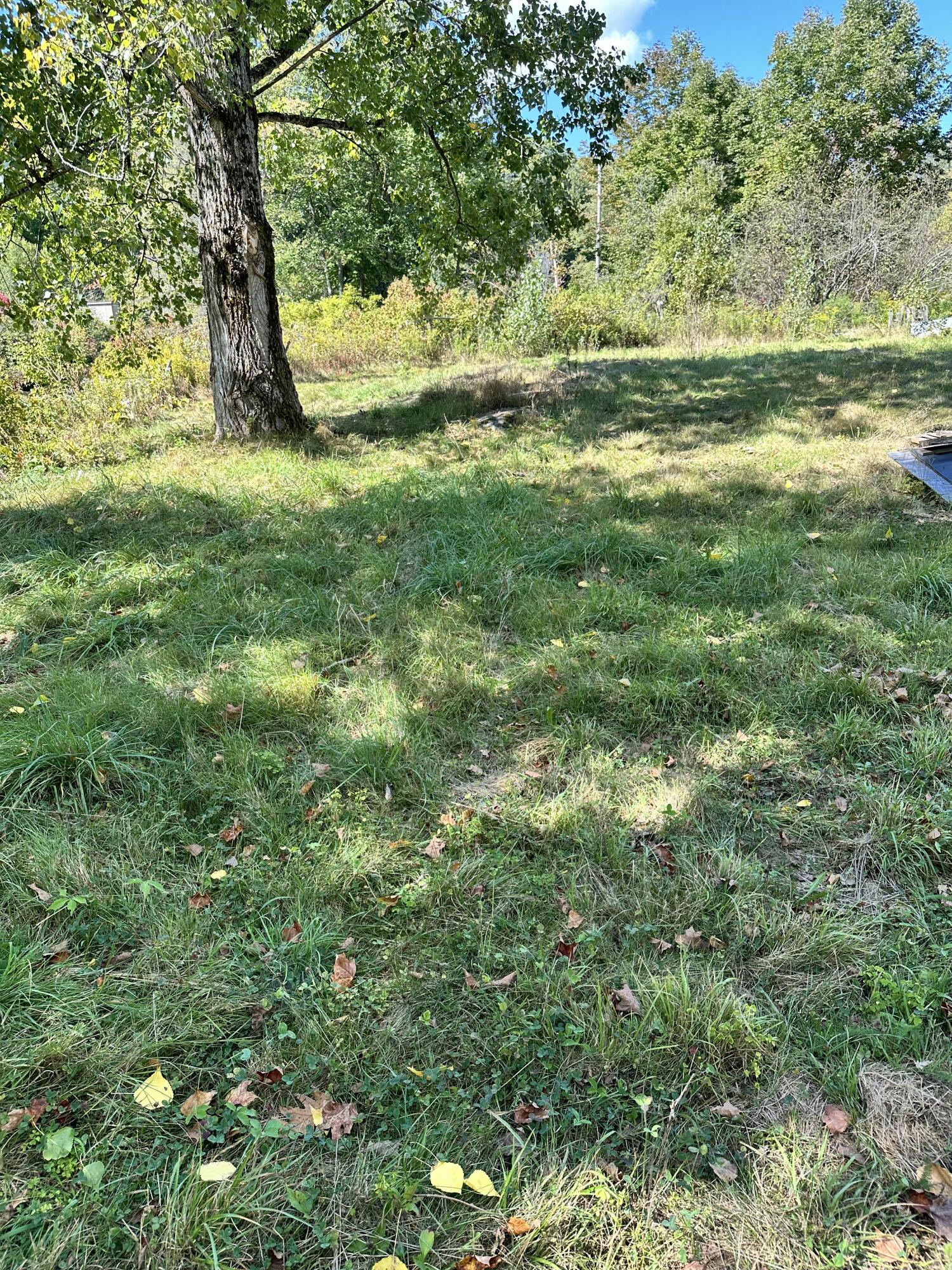 main property photo 47