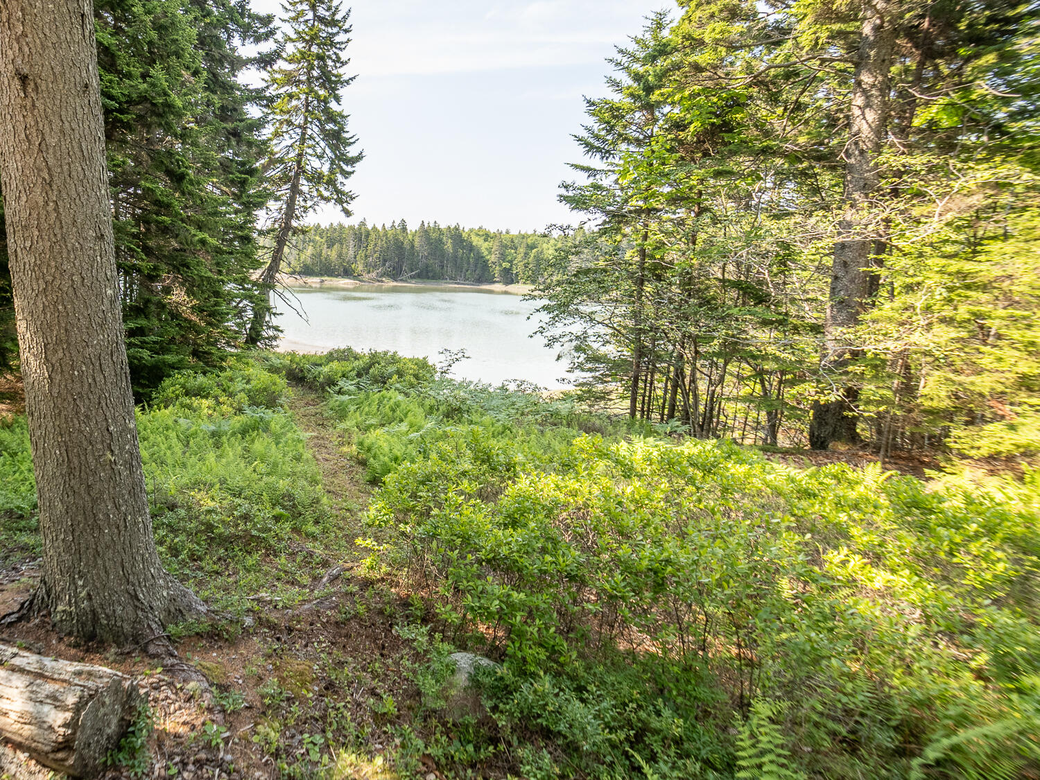 main property photo 30
