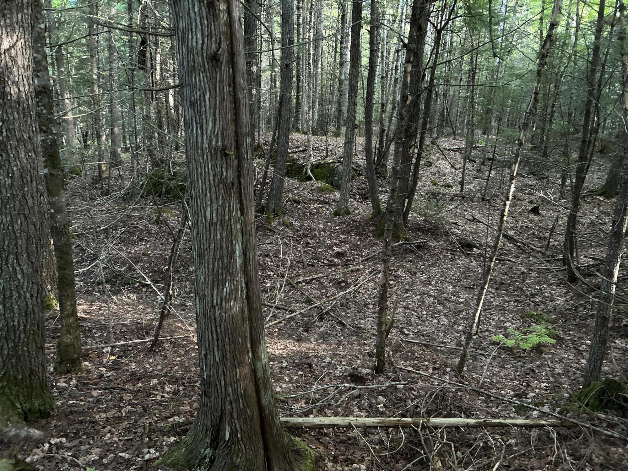 main property photo 25