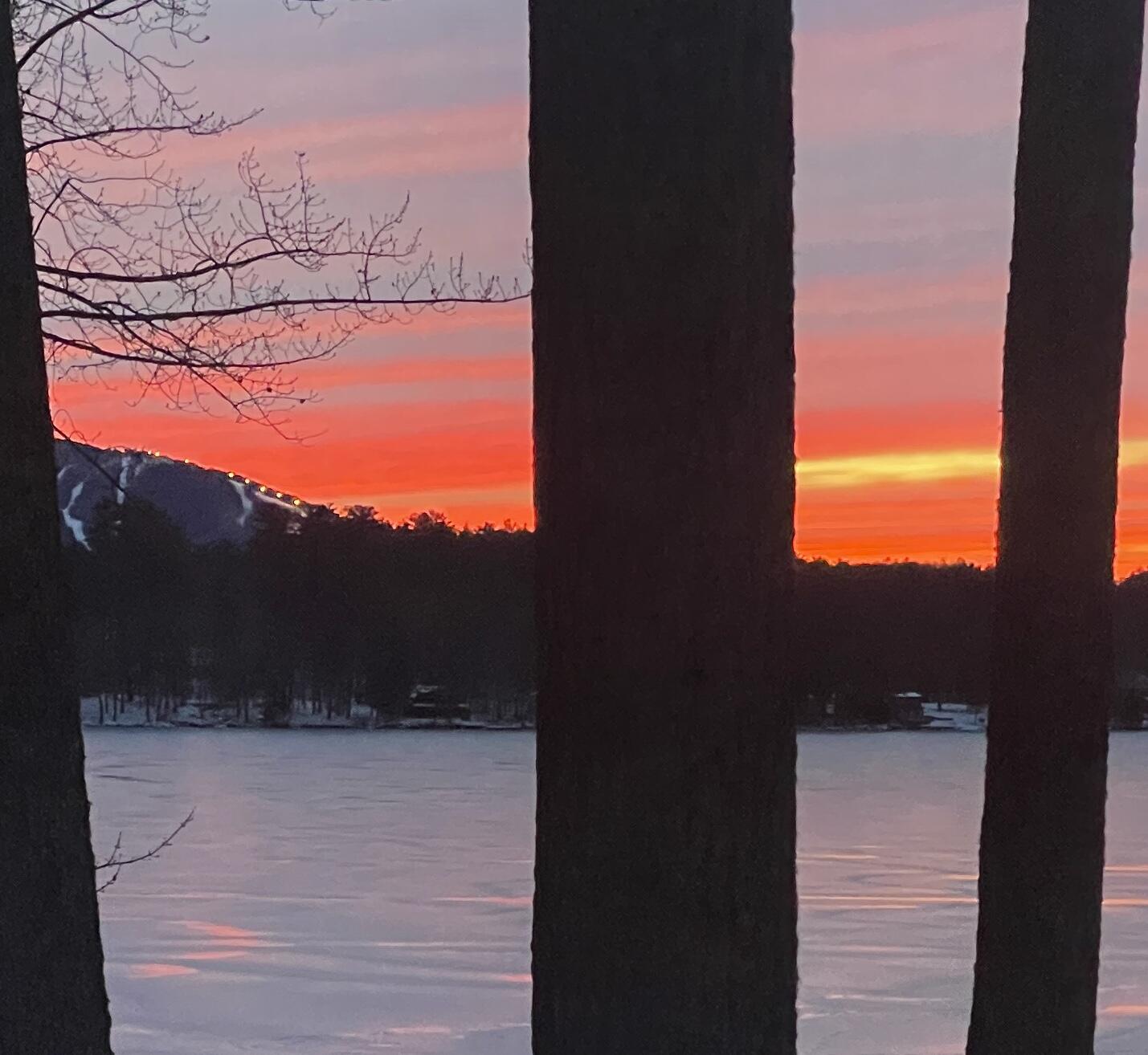 property viewer photo 36