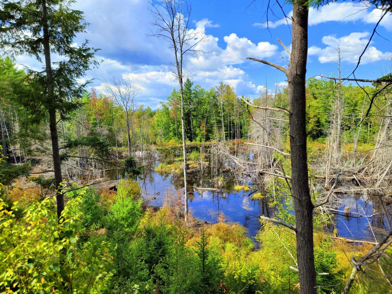 main property photo 68